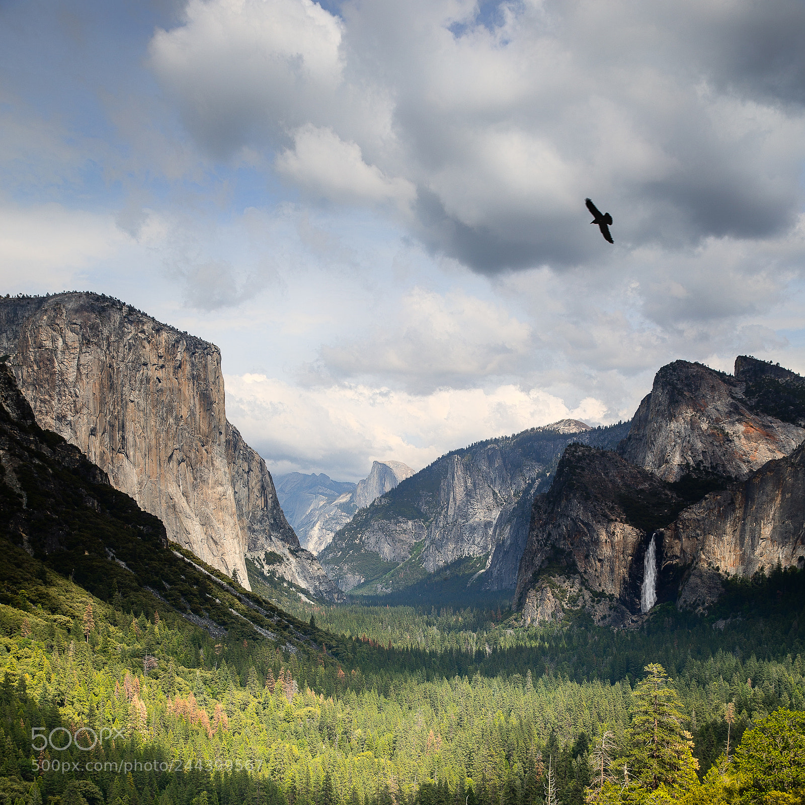 Canon EOS-1D X sample photo. Tunnel view photography
