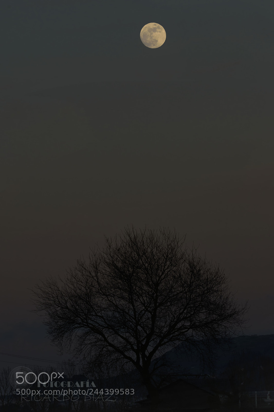 Nikon D7200 sample photo. Blue moon photography