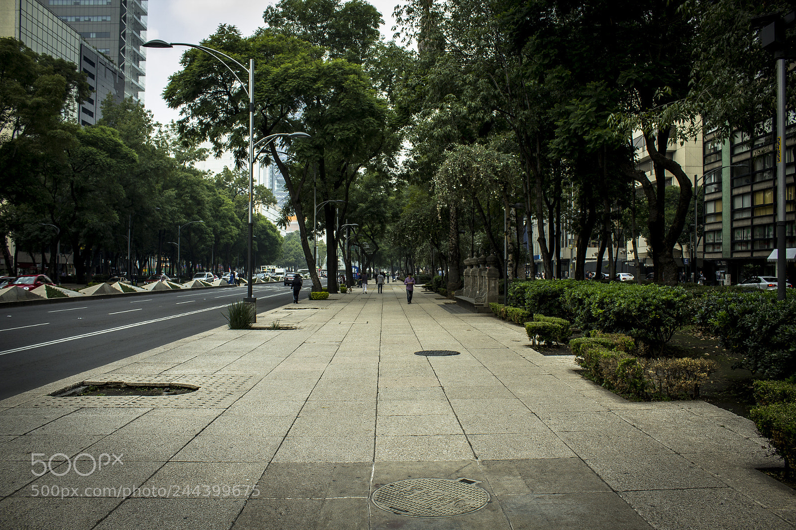 Canon EOS 1200D (EOS Rebel T5 / EOS Kiss X70 / EOS Hi) sample photo. Mexico city, the most photography