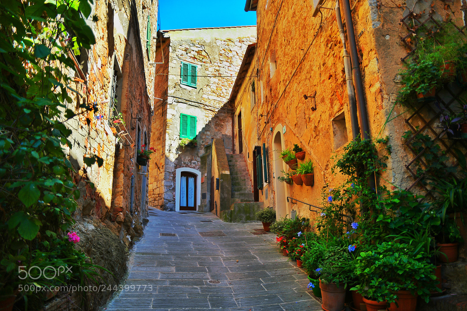 Samsung NX1 sample photo. Sommer in toscana photography