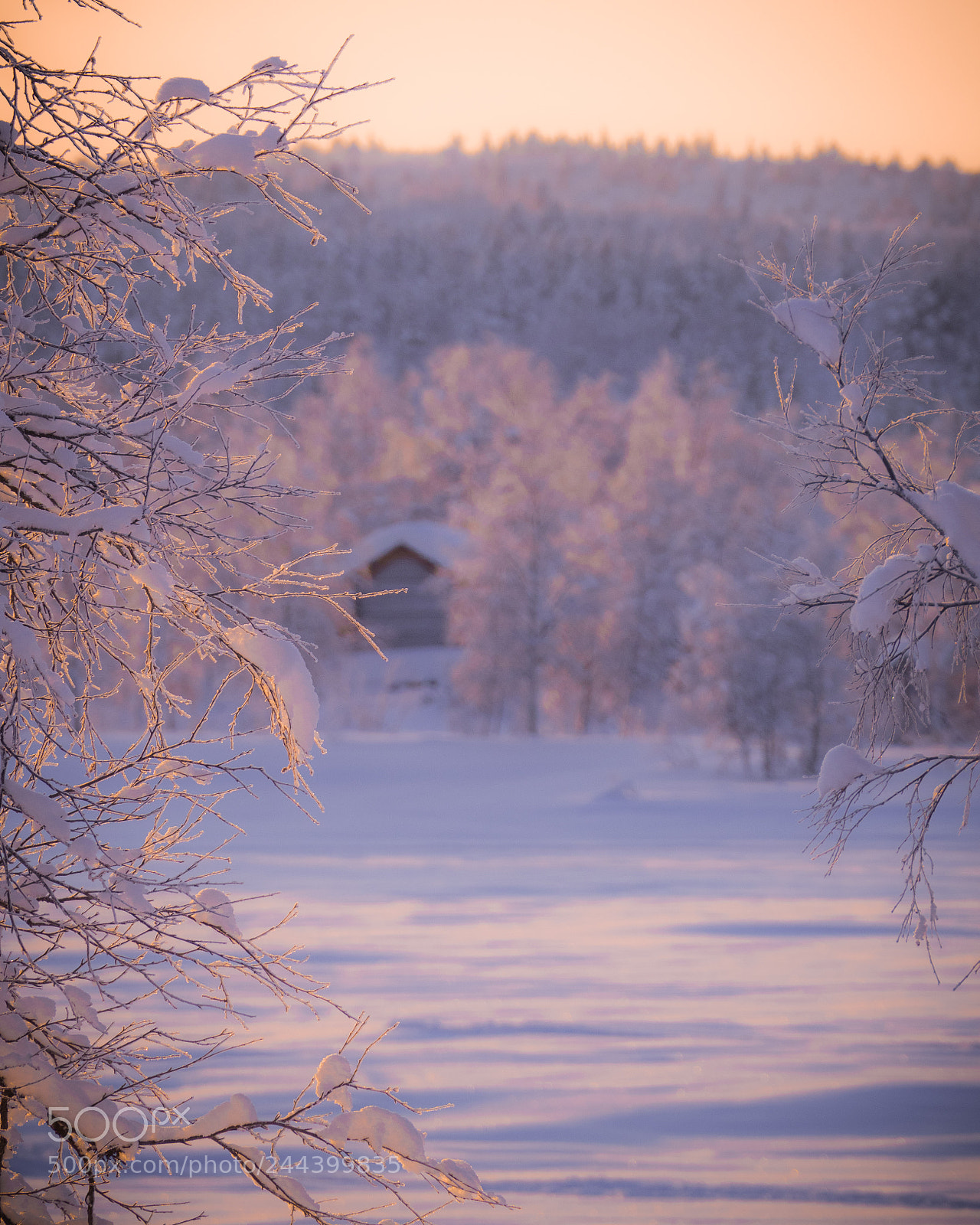 Olympus OM-D E-M5 II sample photo. A cabin with a photography