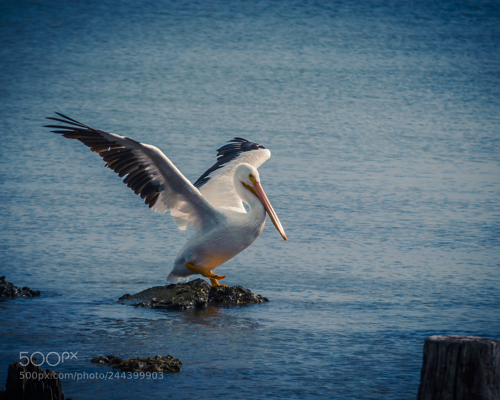Nikon D200 sample photo. Like this mr miyagi photography