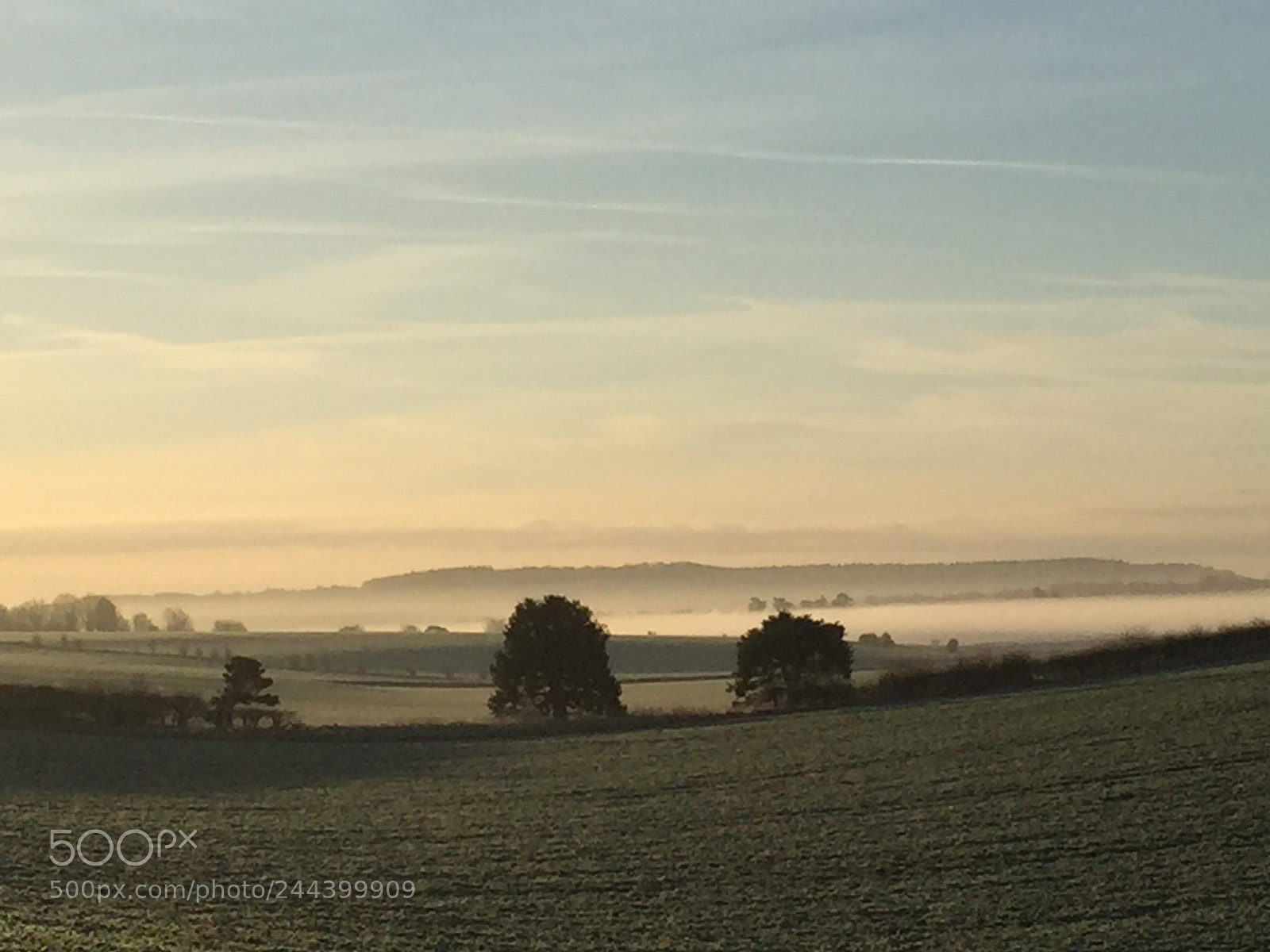Apple iPhone 6 sample photo. Misty fields photography