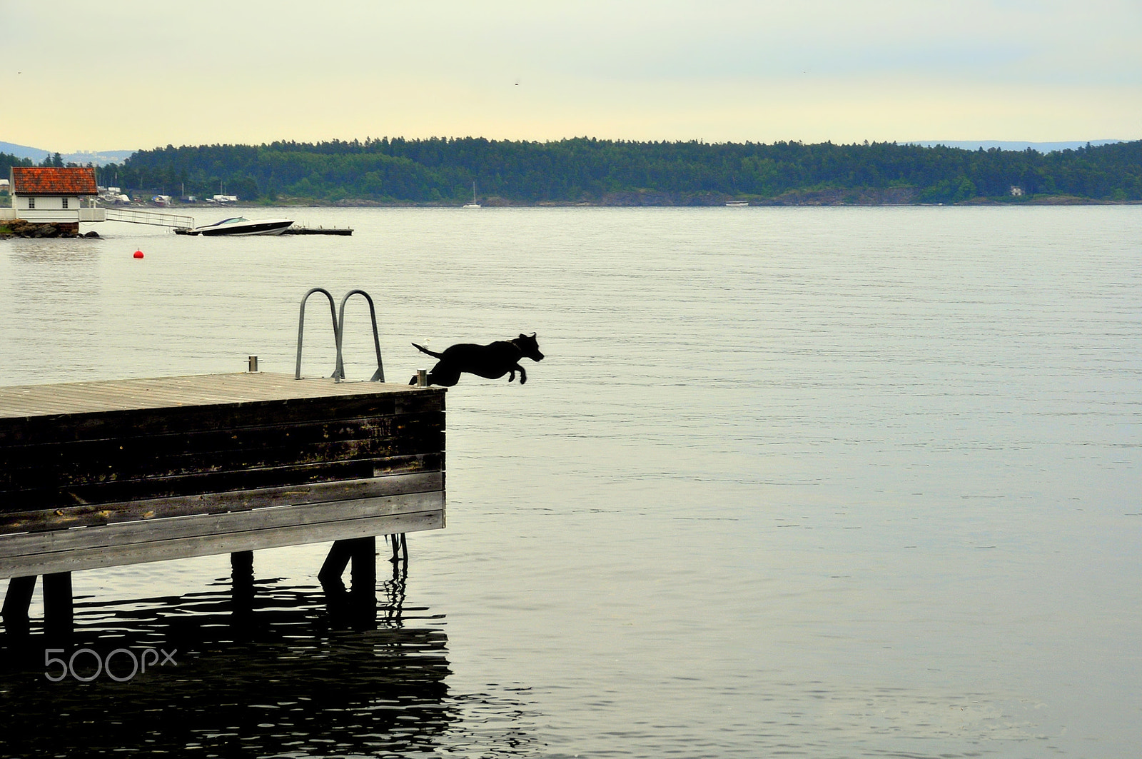 Nikon D5000 sample photo. ... (foto n° 2068) photography