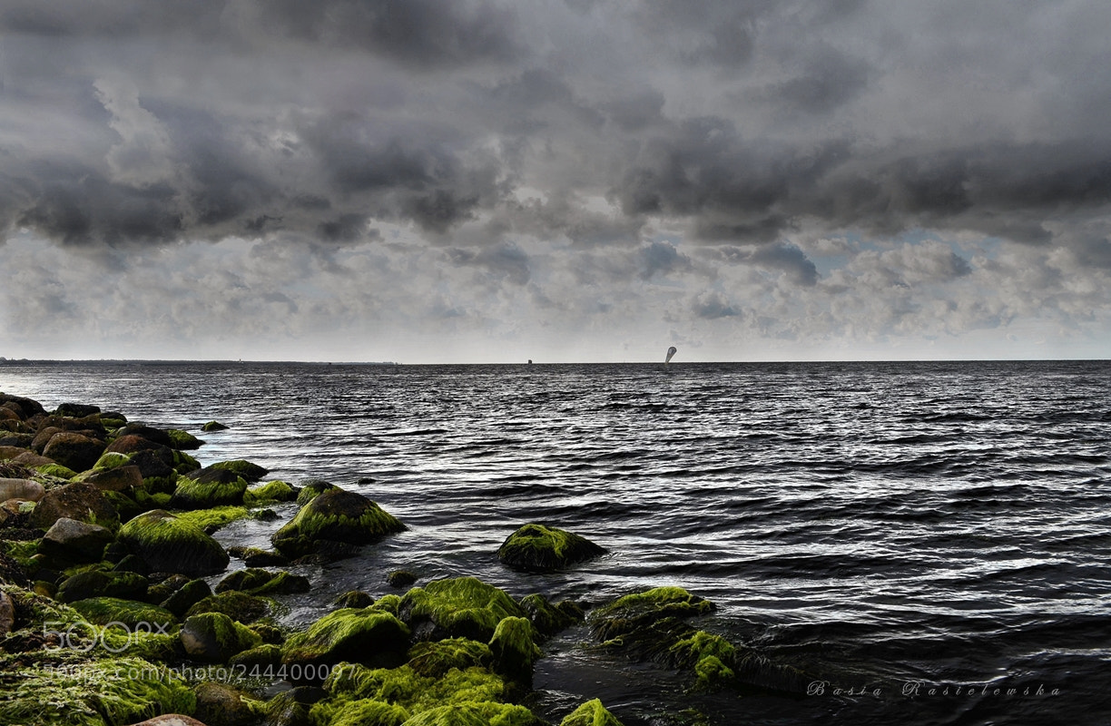 Nikon D5100 sample photo. Before the storm photography