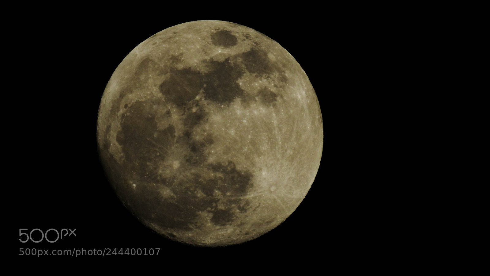 Nikon Coolpix P900 sample photo. Luna photography