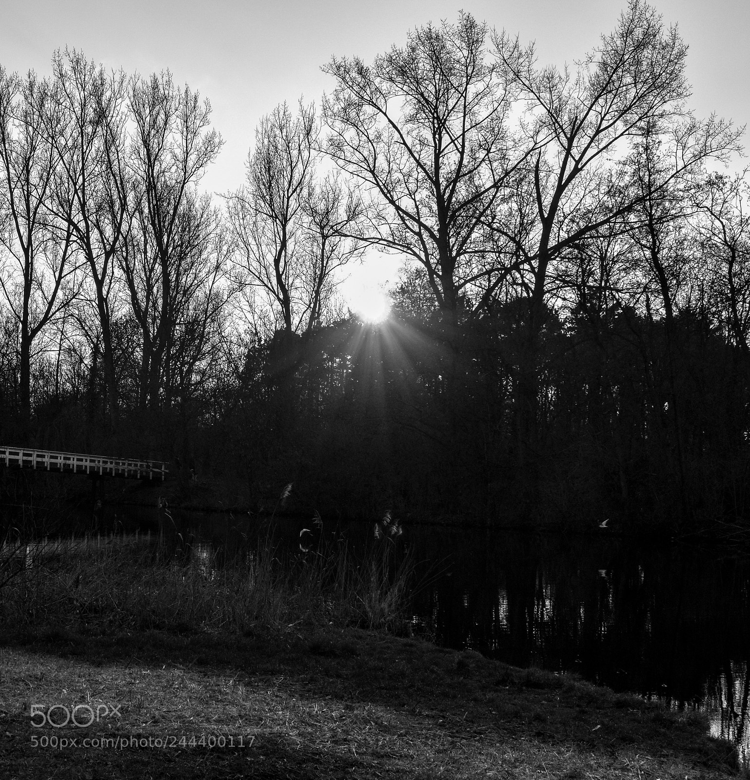 Nikon D5600 sample photo. Mkk photography