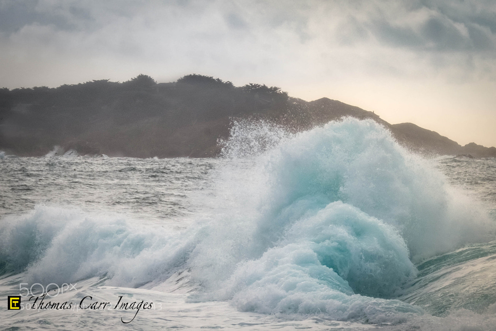 Fujifilm X-T2 sample photo. Cotton swell photography