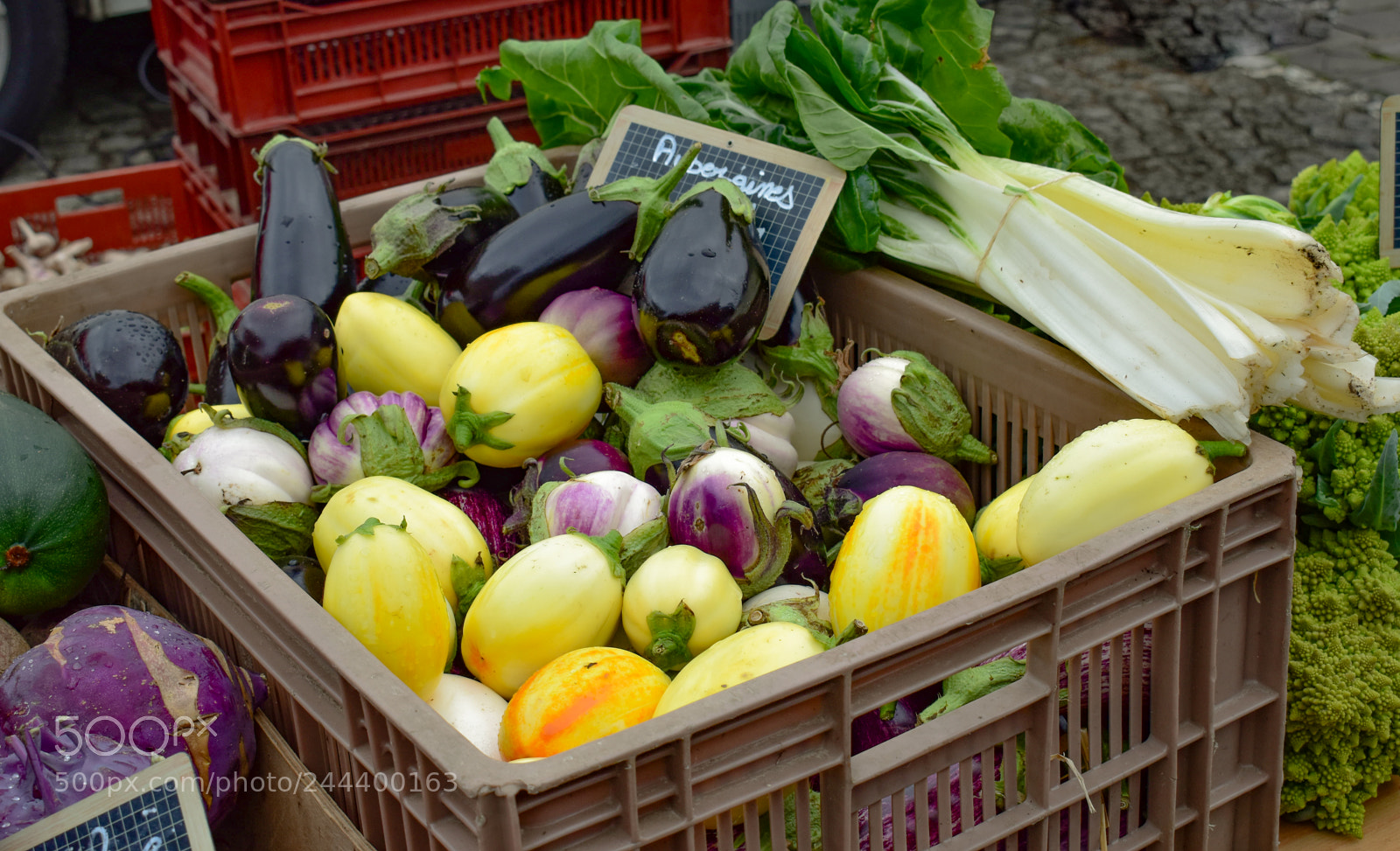 Nikon D5600 sample photo. () photography