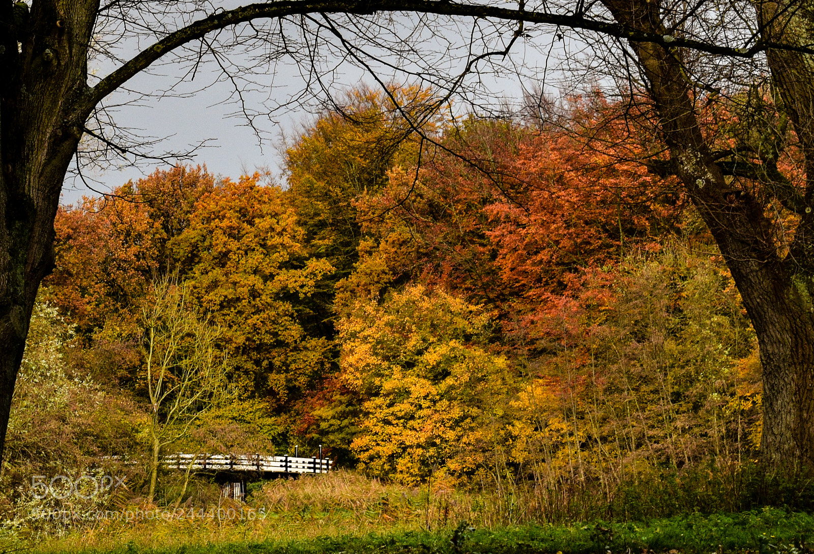 Nikon D5600 sample photo. Mkk photography