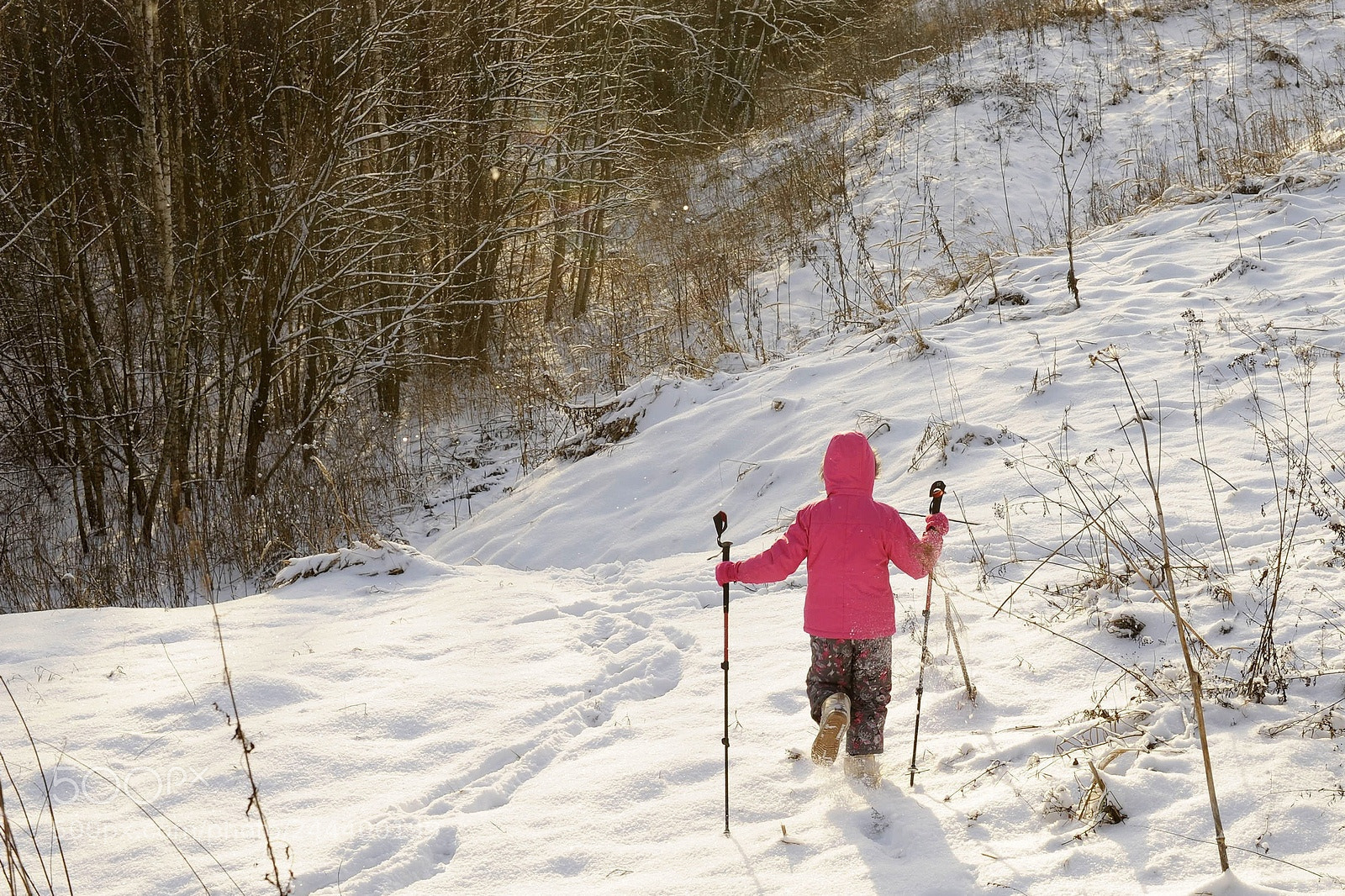 Nikon D700 sample photo. Winter photography