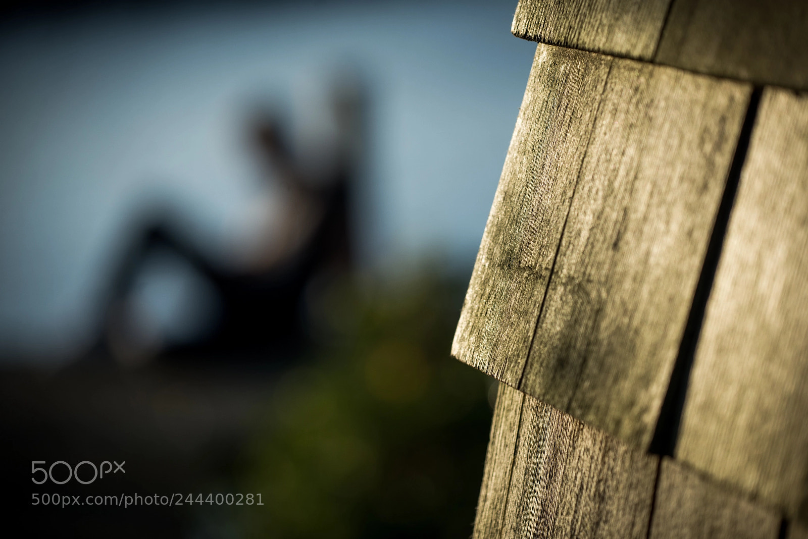 Nikon D600 sample photo. Renø 6 photography