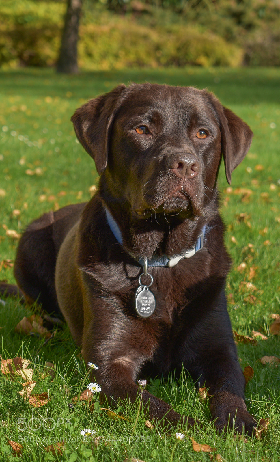 Nikon D5600 sample photo. Dsc photography