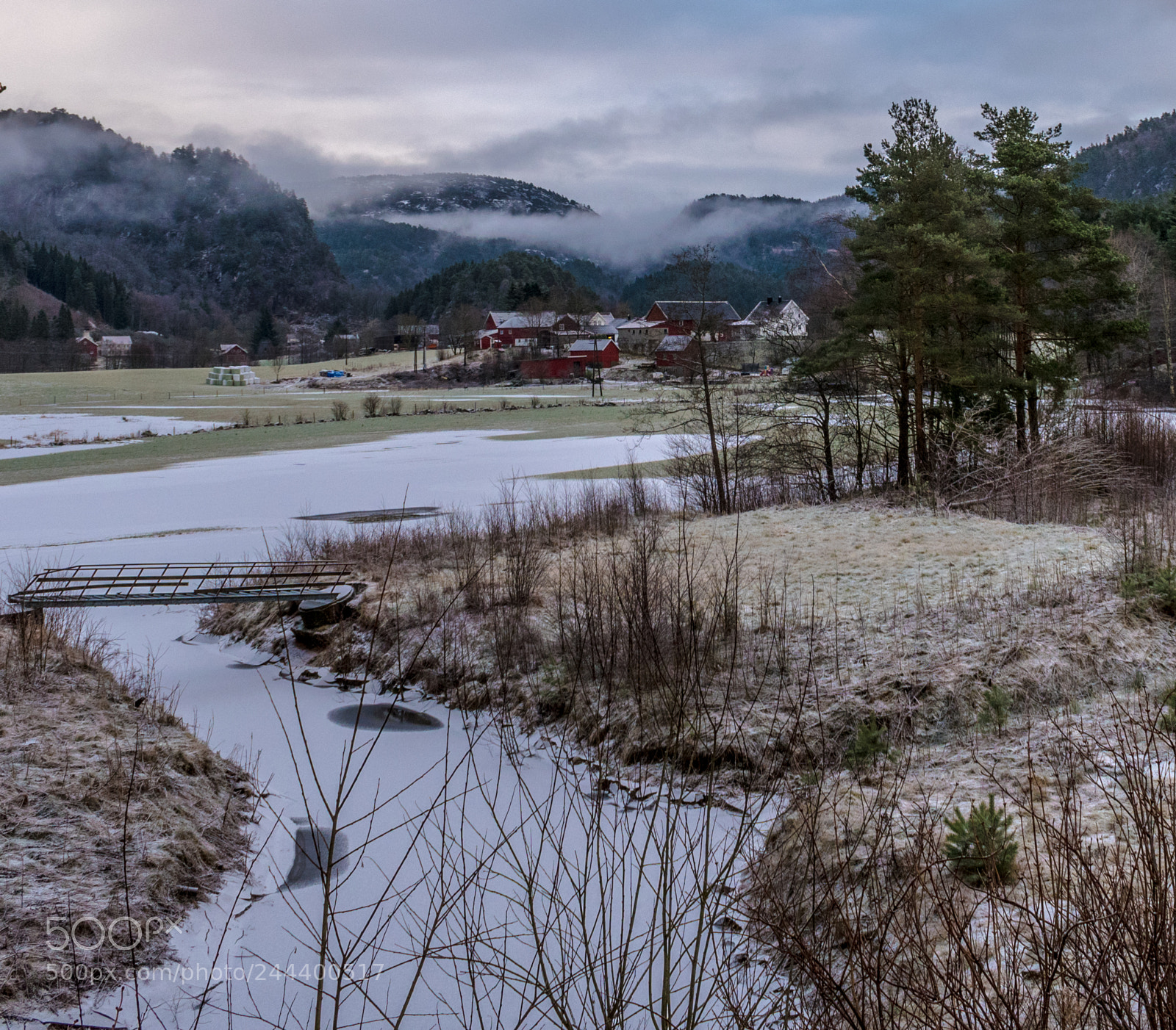 Nikon D5600 sample photo. Mkk photography