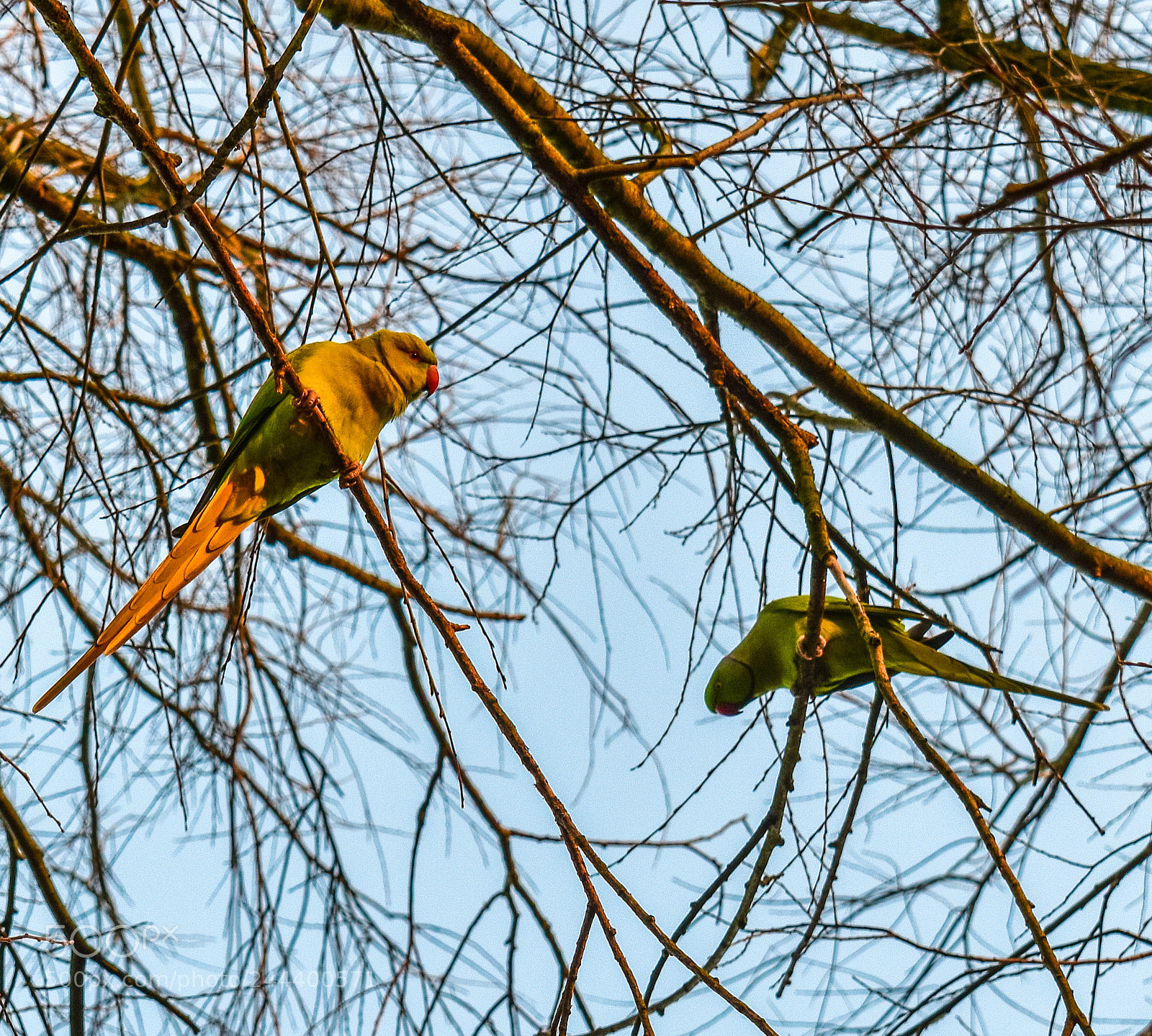 Nikon D5600 sample photo. Mkk_4576-2.jpg photography
