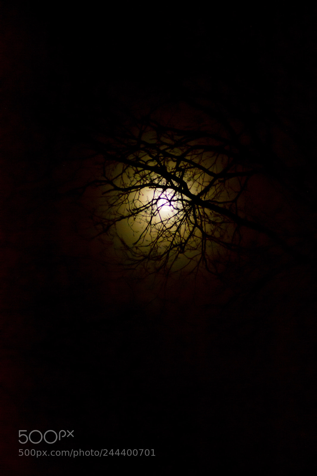 Nikon D3100 sample photo. Cloudy moon ii photography