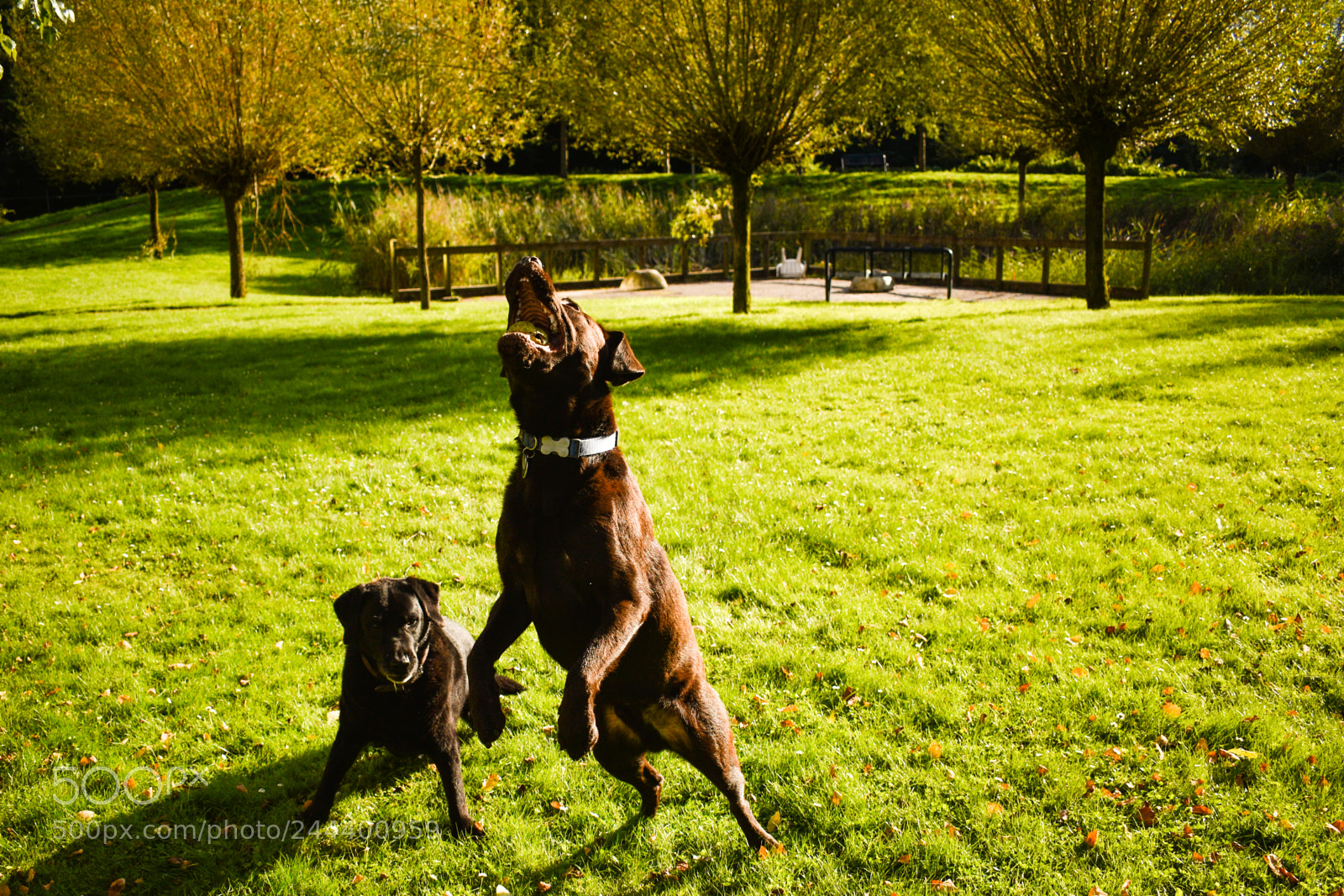 Nikon D5600 sample photo. Dsc photography