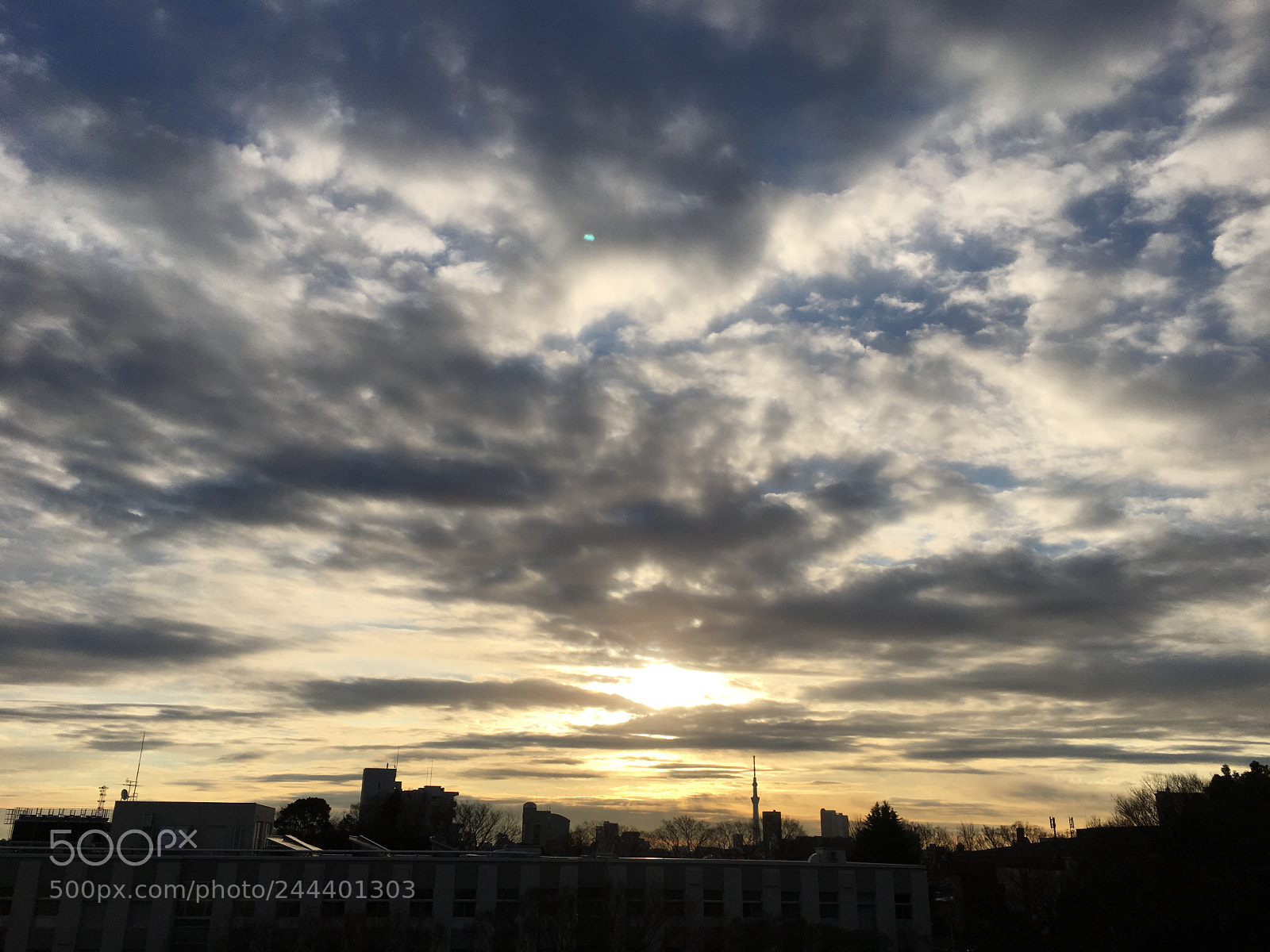 Apple iPhone 6s Plus sample photo. Winter2018 morning sky photography