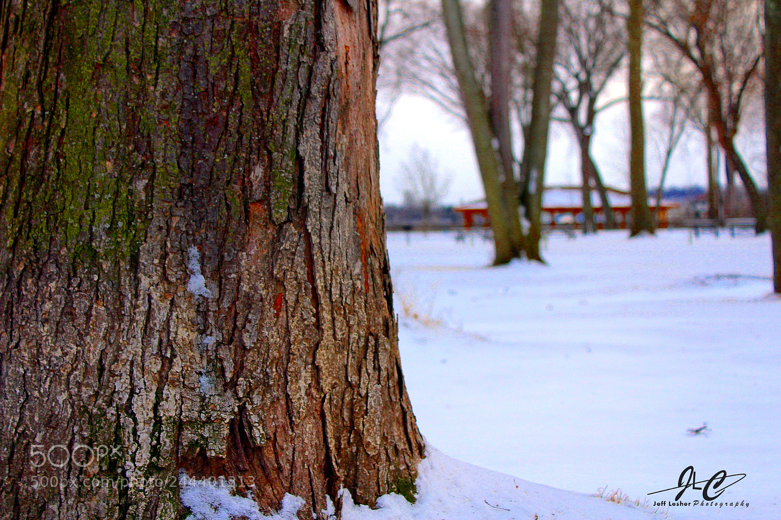 Canon EOS 1300D (EOS Rebel T6 / EOS Kiss X80) sample photo. Snow day photography