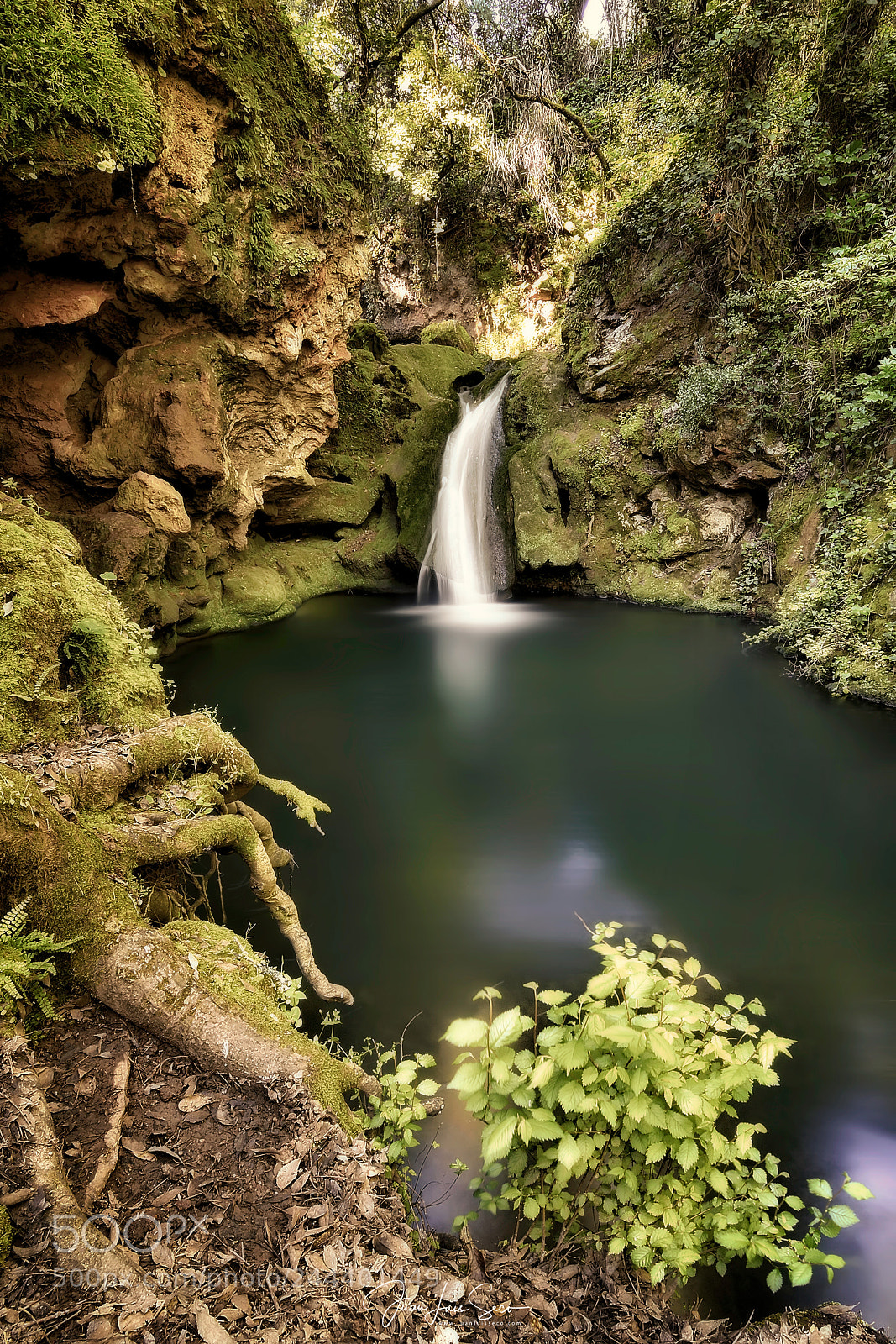 Nikon D7100 sample photo. Volver al agua... photography