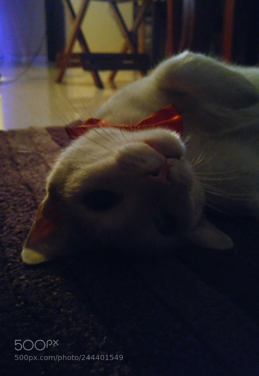 OnePlus A3003 sample photo. Introducing lua . photography