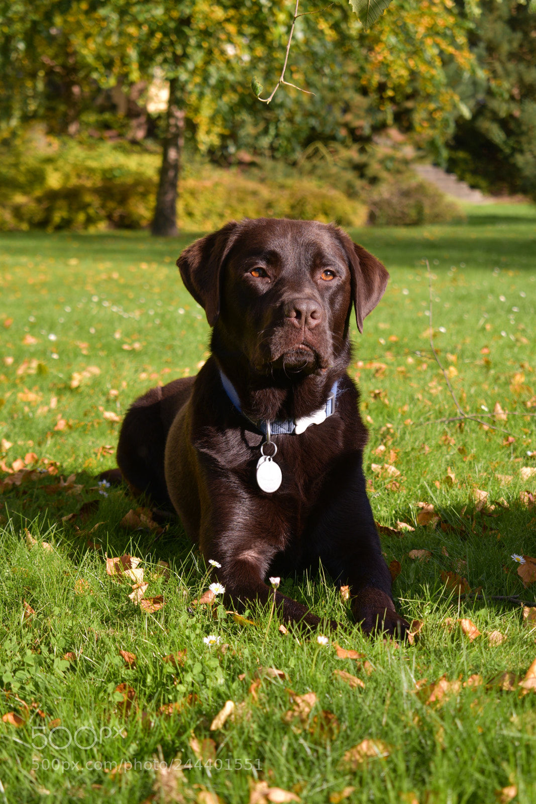 Nikon D5600 sample photo. Dsc photography
