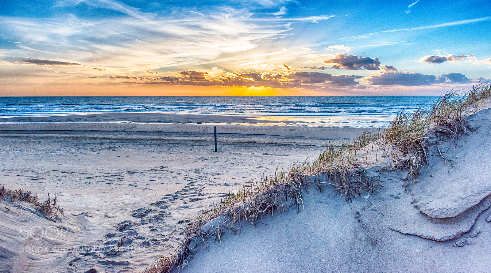 Nikon D810 sample photo. Duinpad naar de zon photography