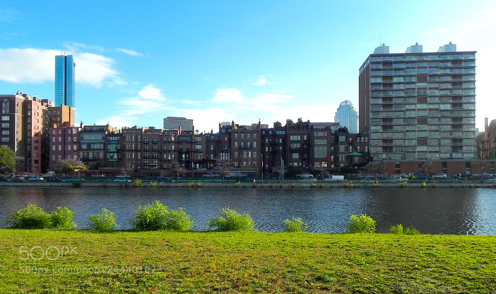 Nikon Coolpix P100 sample photo. Boston esplanade photography