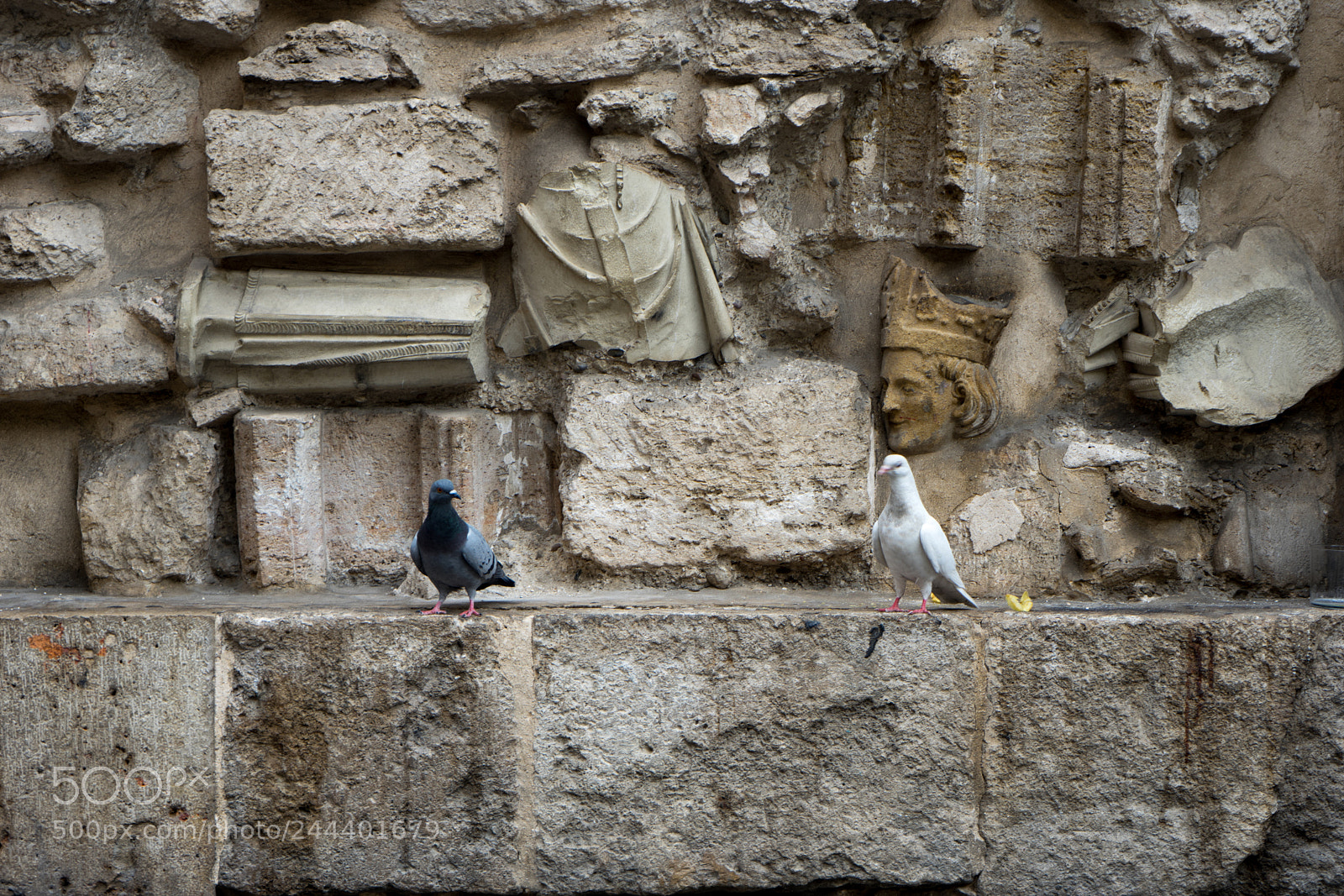 Sony a7 II sample photo. Paloma entre ruinas photography