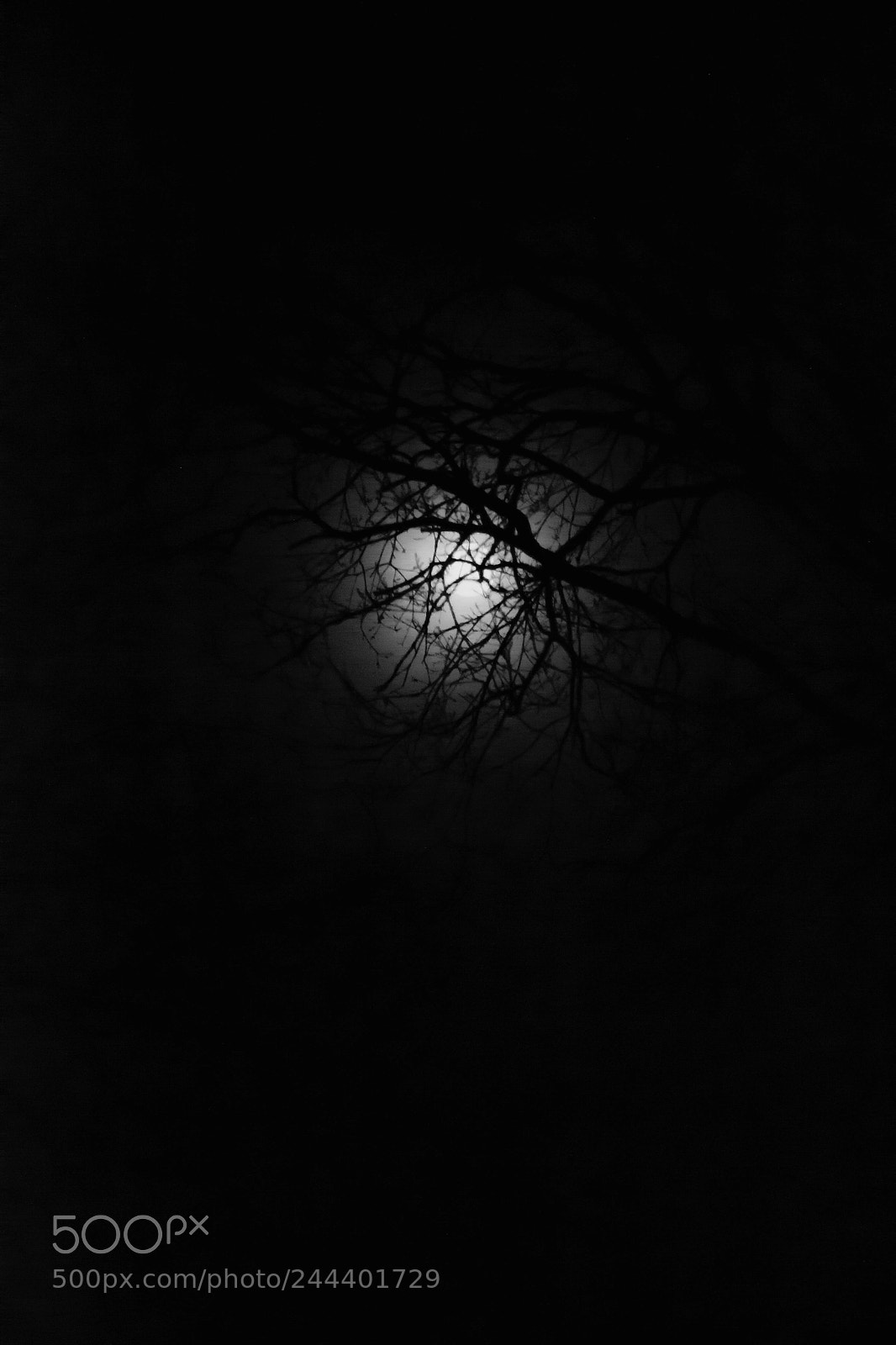 Nikon D3100 sample photo. Cloudy moon iii photography