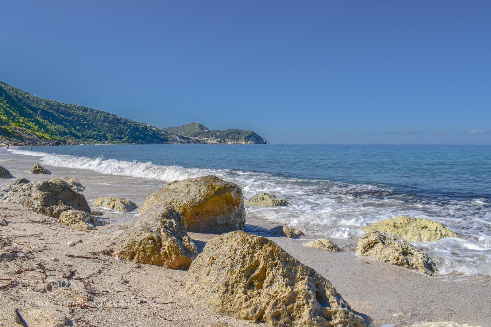 Nikon D5600 sample photo. Dsc photography