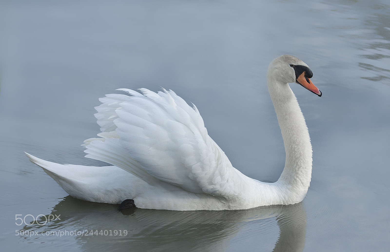 Canon EOS 50D sample photo. Tenderness photography
