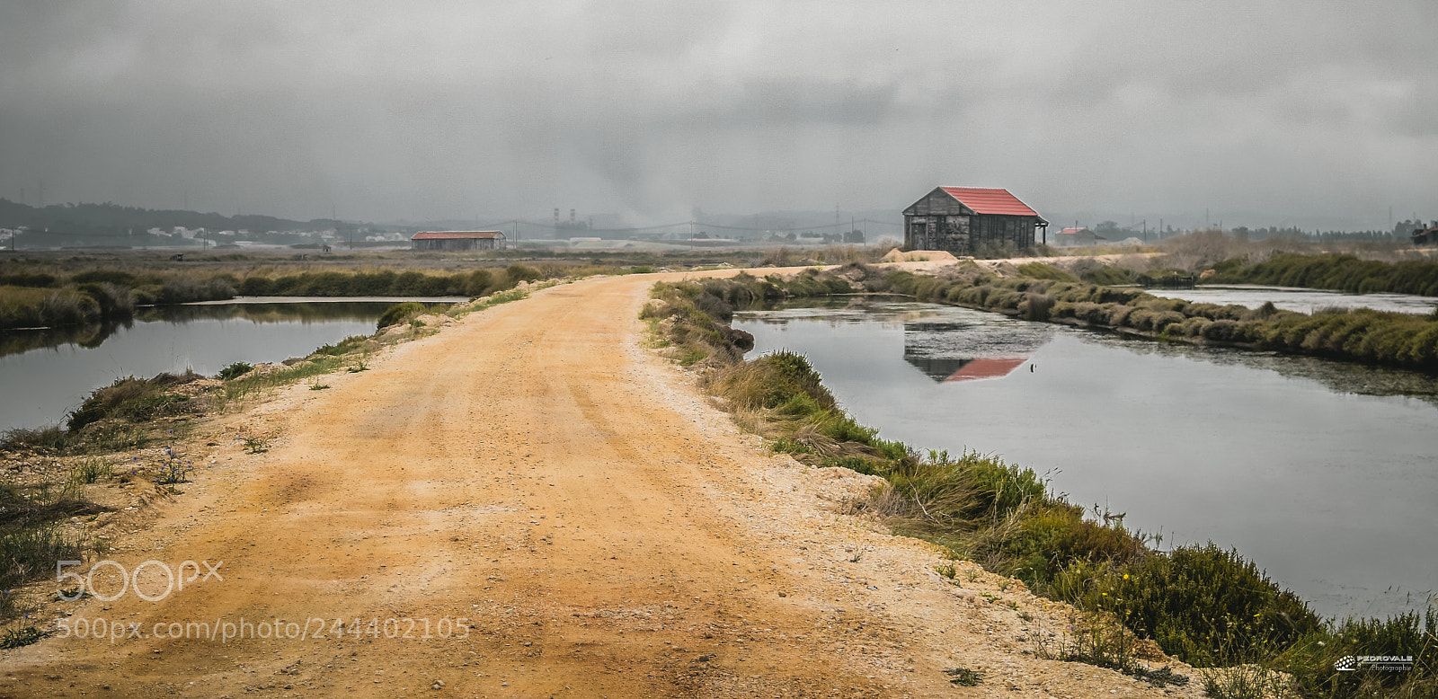 Nikon D5500 sample photo. Home photography