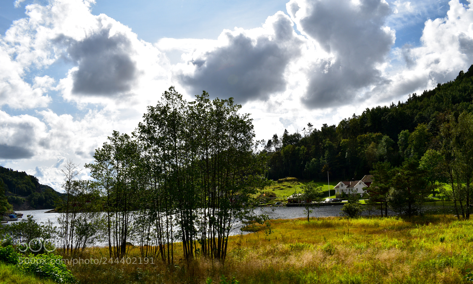 Nikon D5600 sample photo. Dsc photography