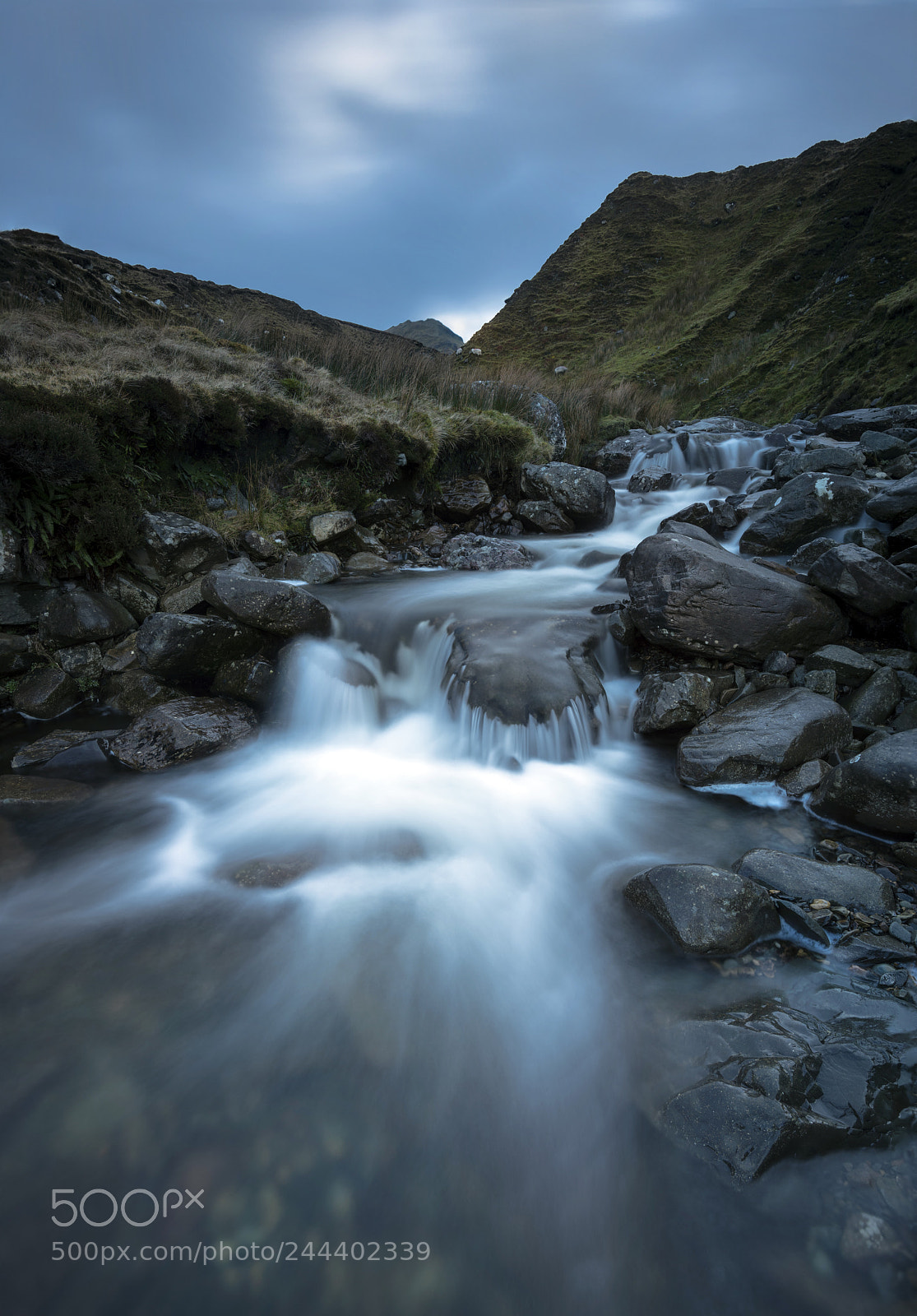Nikon D850 sample photo. Deep into galway photography