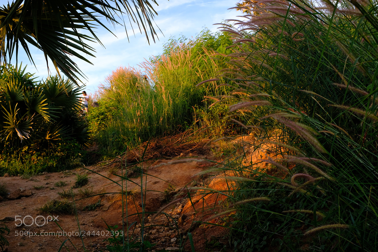 Fujifilm X100F sample photo. Red ground photography