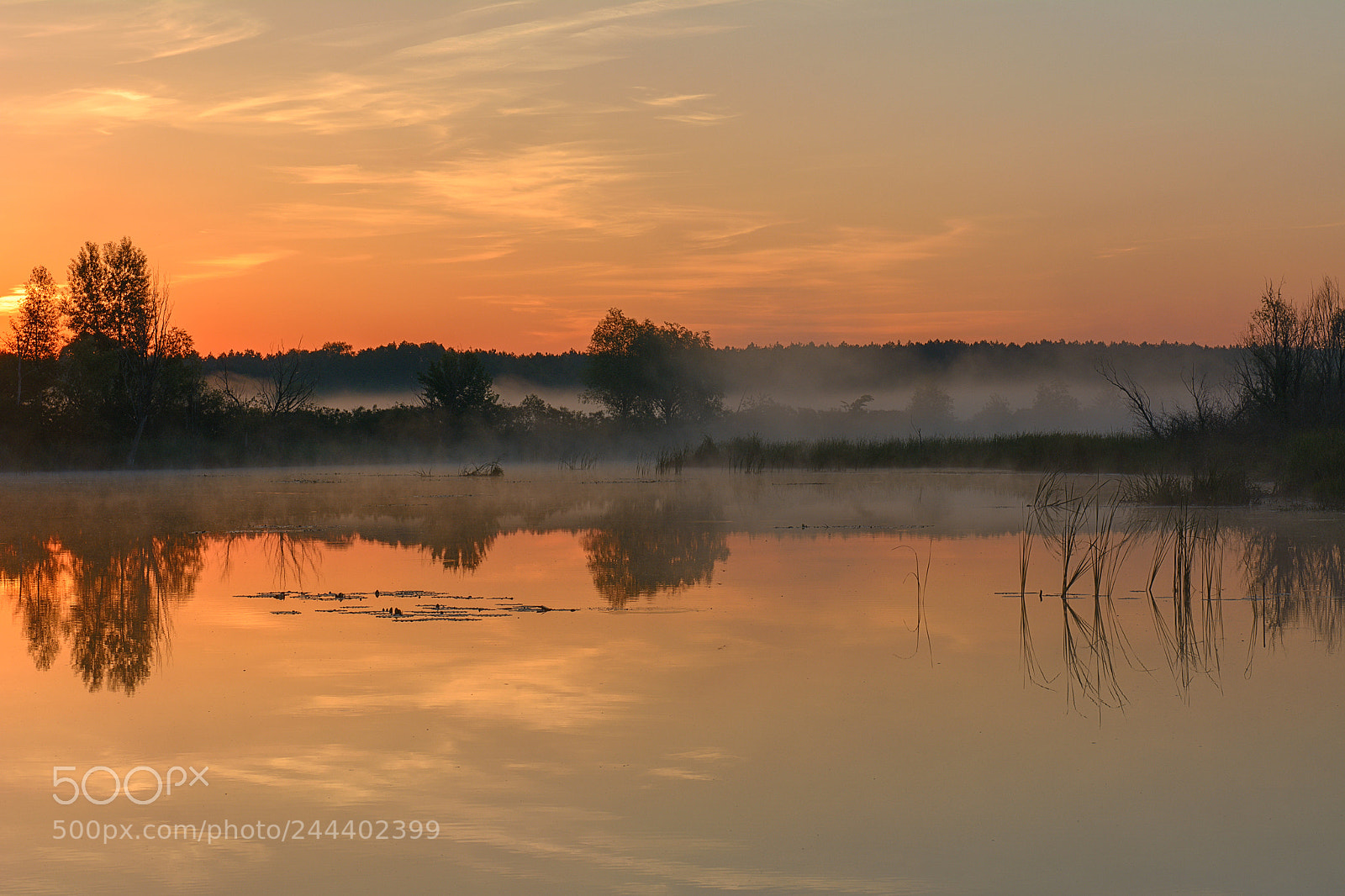 Nikon D7100 sample photo. The golden dawn photography