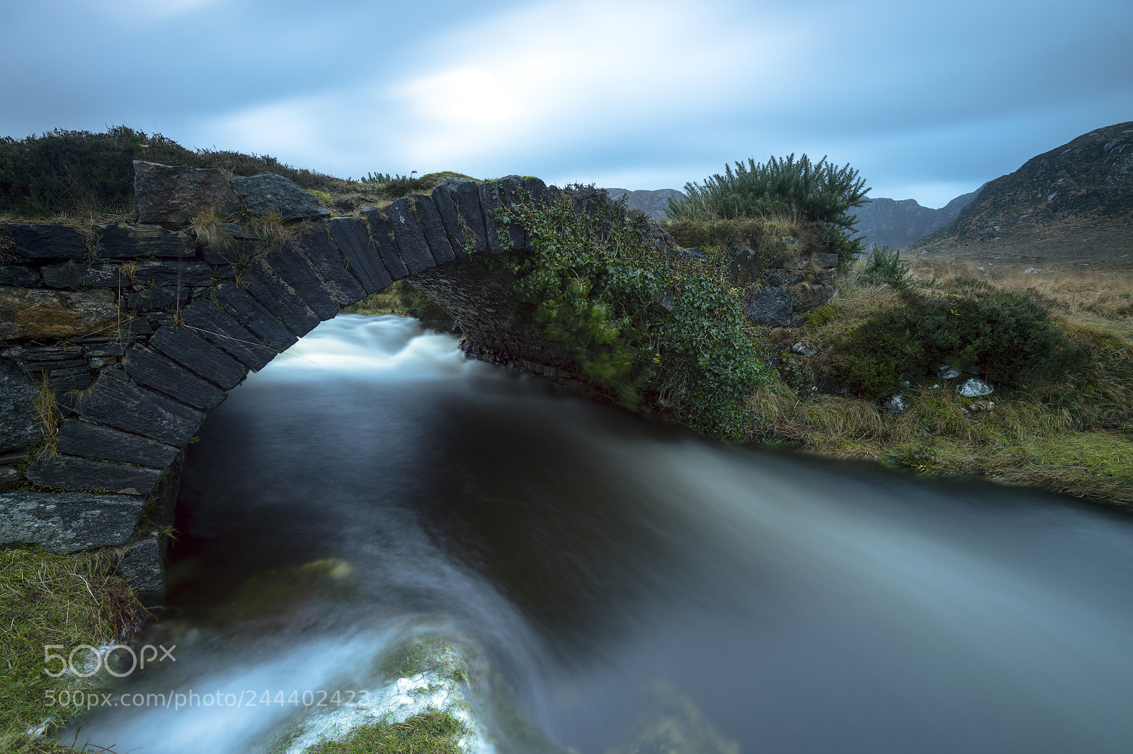 Nikon D850 sample photo. Stone bridge photography