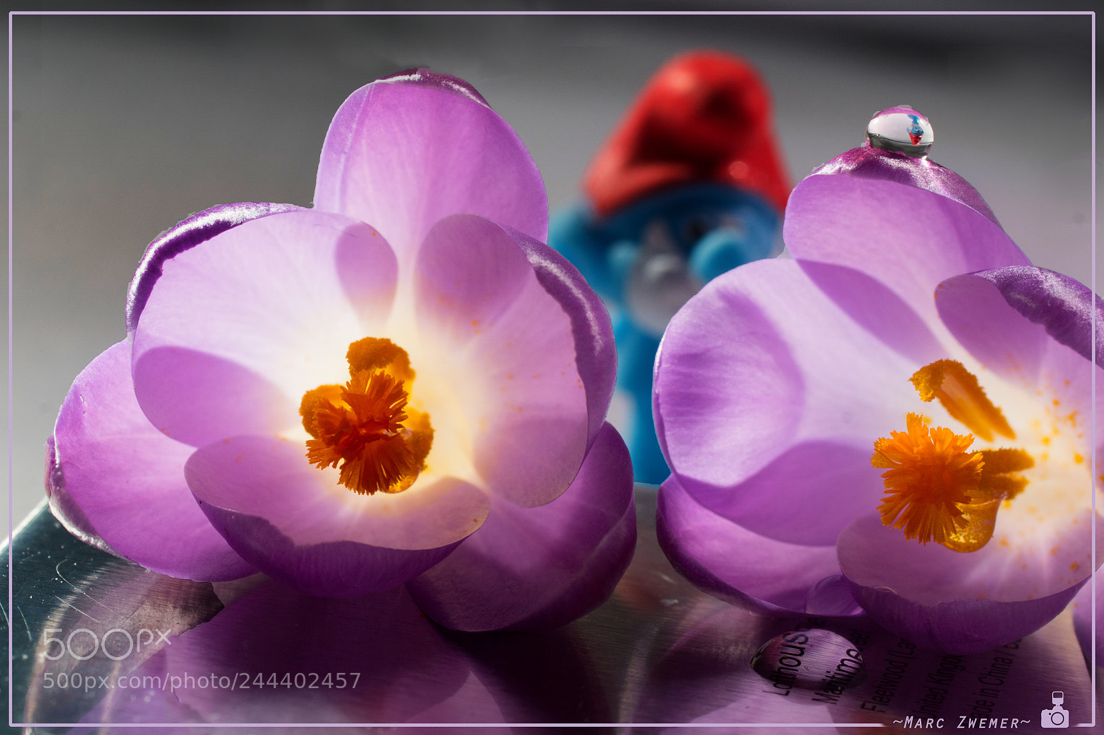 Sony ILCA-77M2 sample photo. Do not lock me photography
