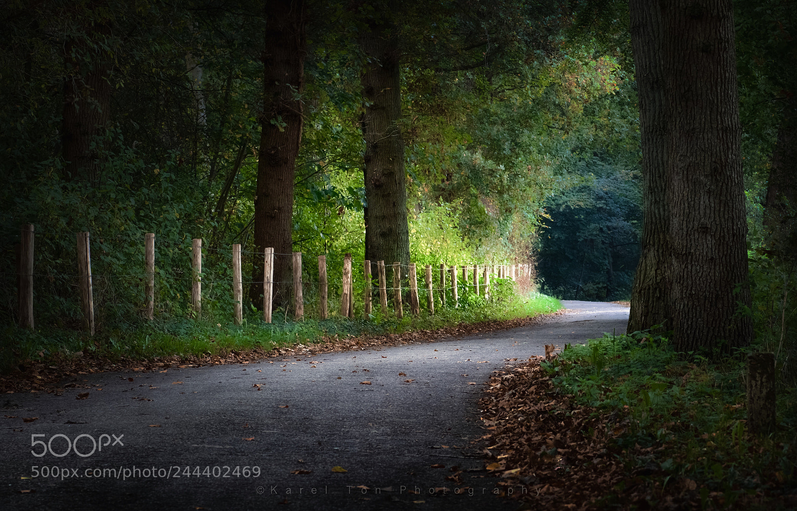 Canon EOS 760D (EOS Rebel T6s / EOS 8000D) sample photo. Leyduin estate, vogelenzang, holland photography