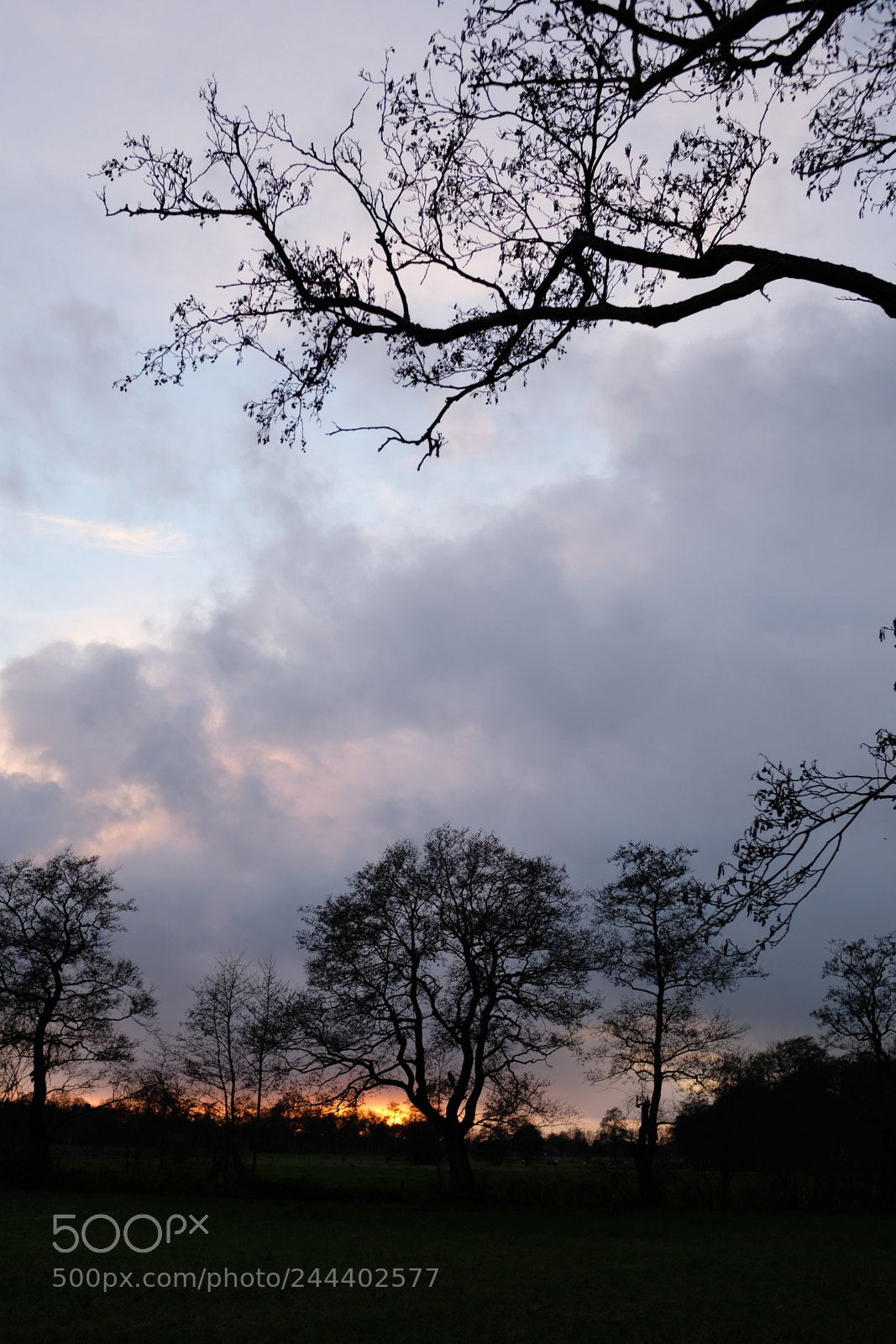 Fujifilm X100F sample photo. Eelde koedijk photography