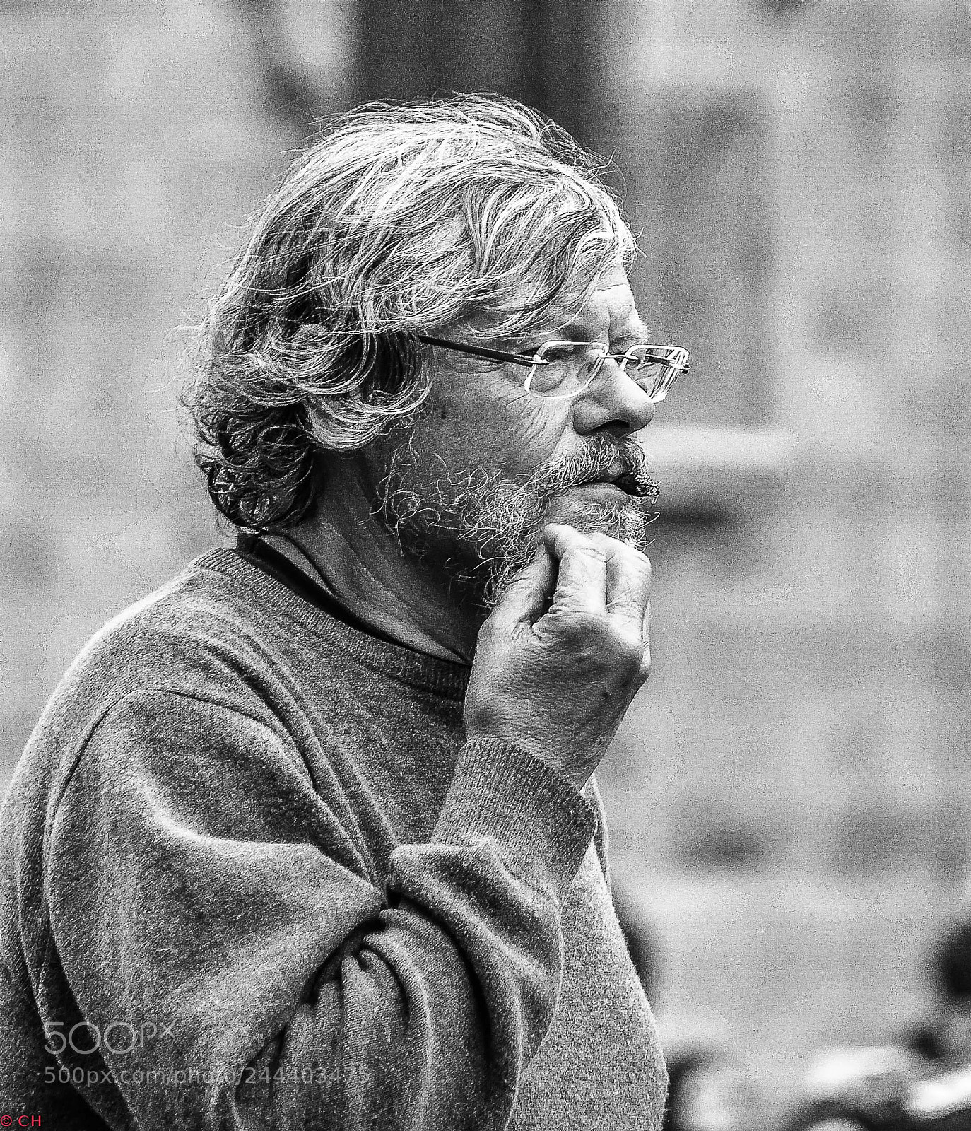 Nikon D500 sample photo. Barbas ilustres photography