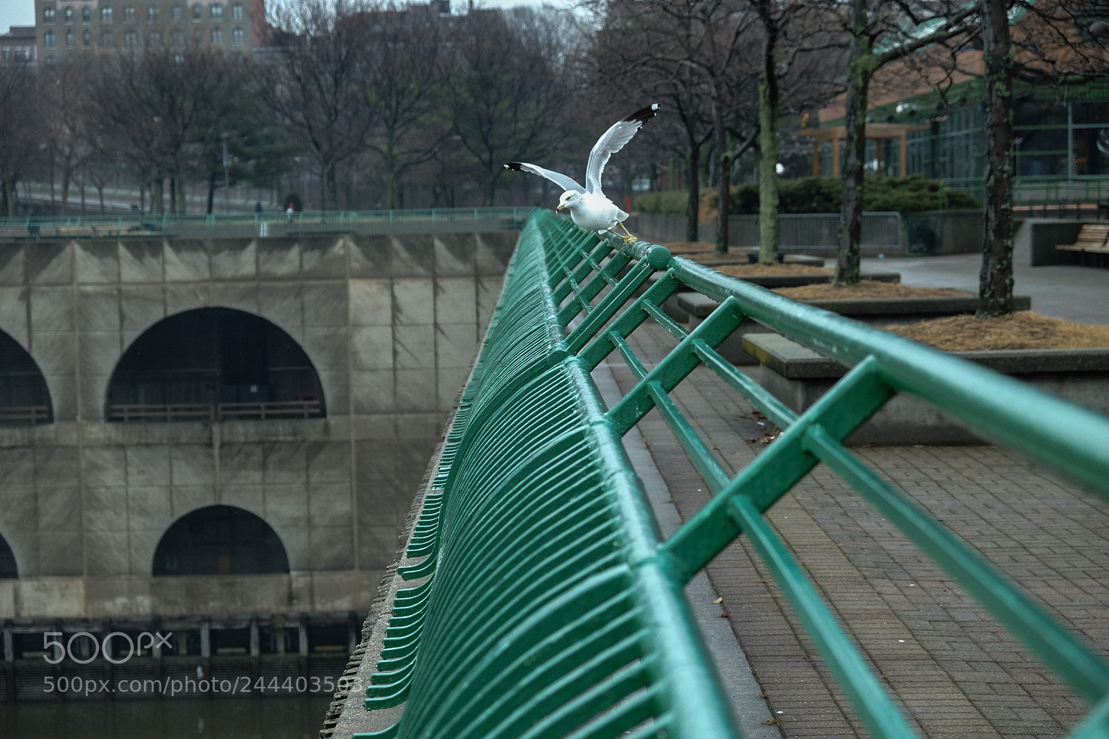 Fujifilm X-T10 sample photo. Img photography