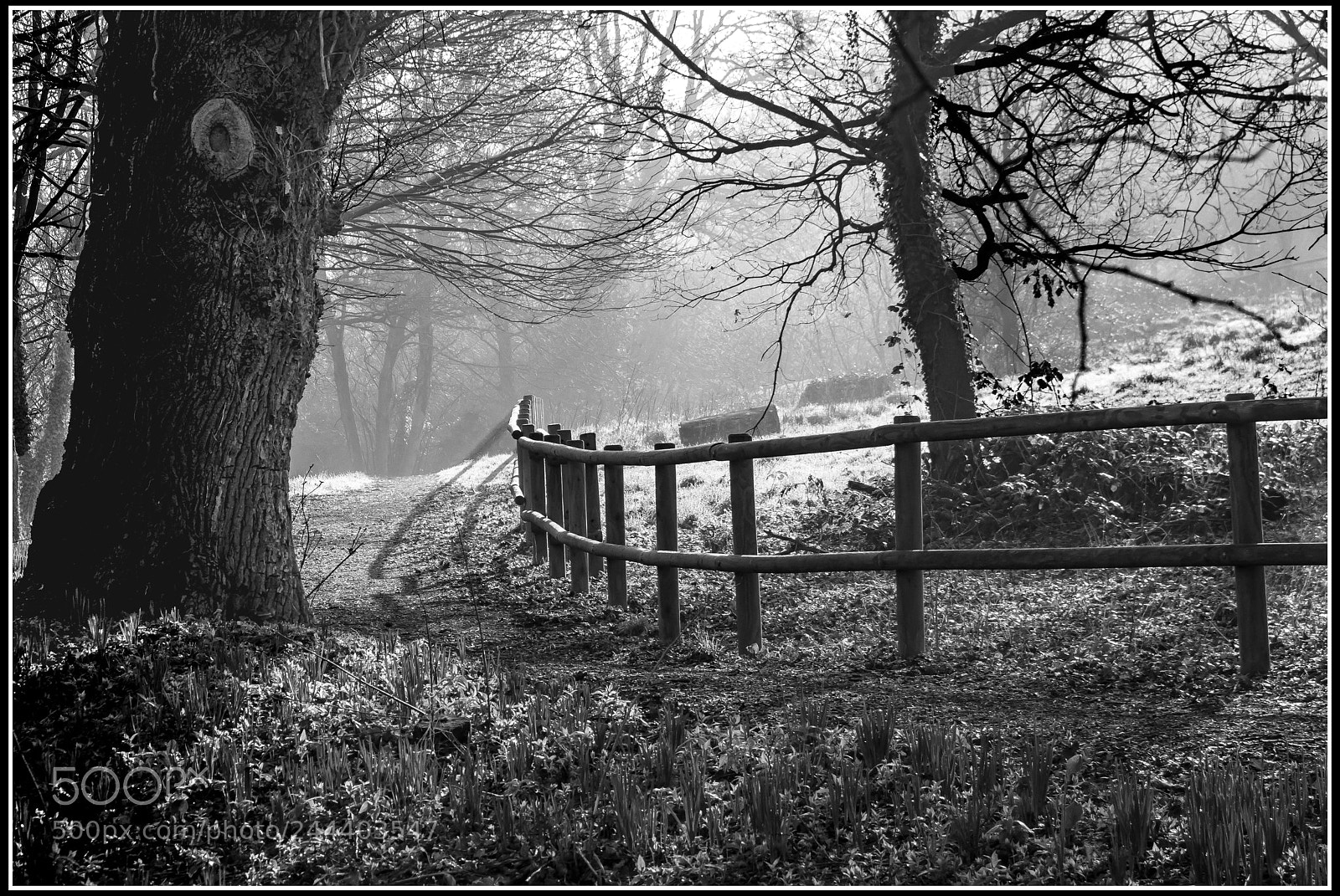 Canon EOS 7D Mark II sample photo. Rouelles en noir et photography