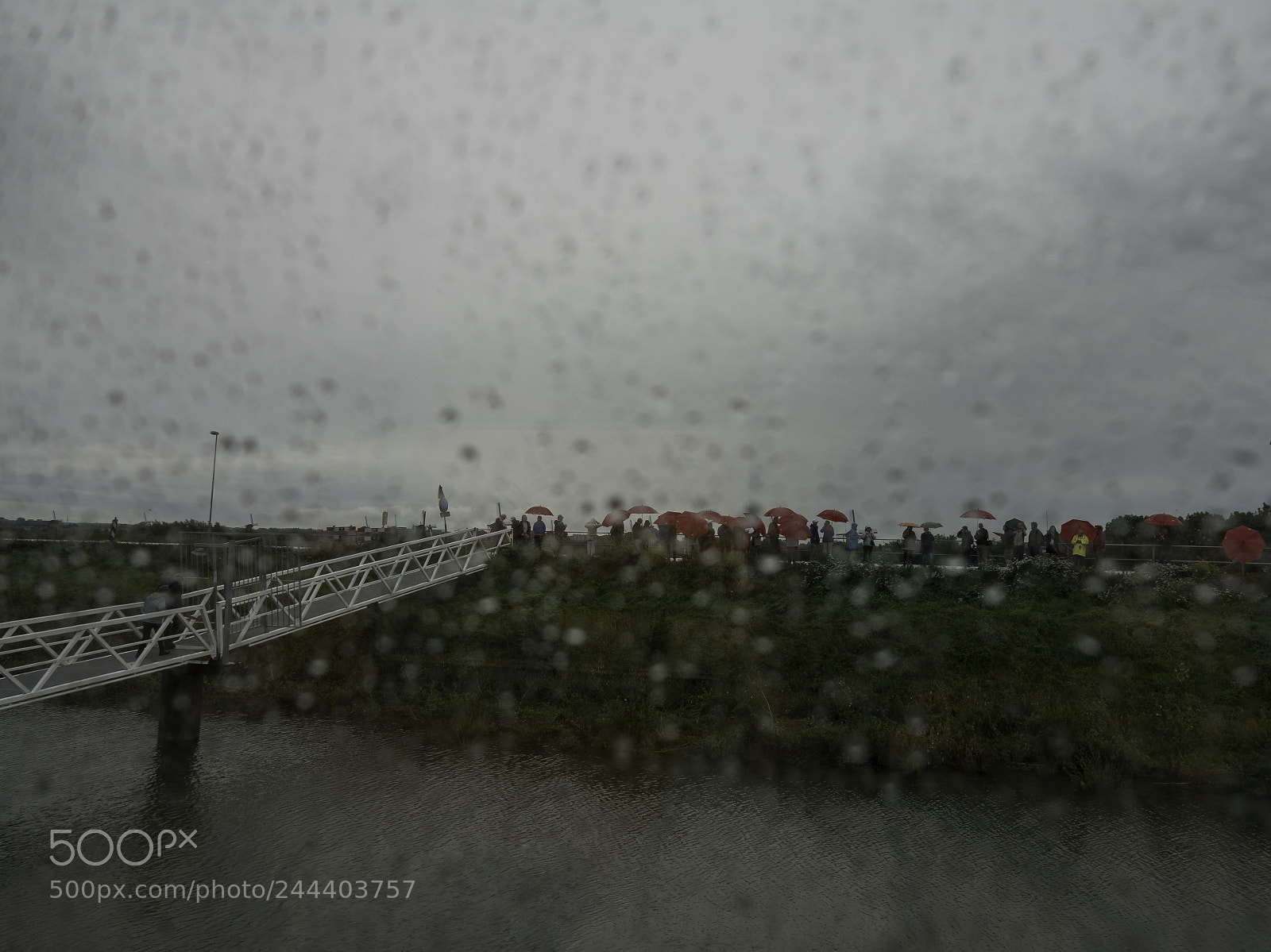 Sony Cyber-shot DSC-RX10 III sample photo. Red umbrellas photography