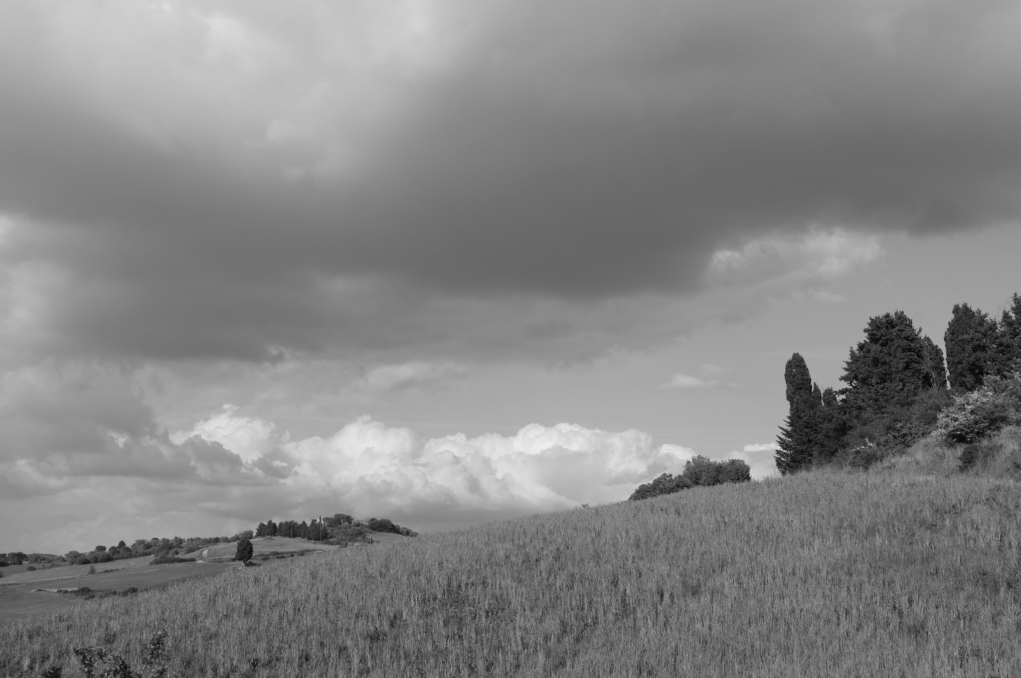 Sony SLT-A55 (SLT-A55V) sample photo. Toscane mazzolla photography
