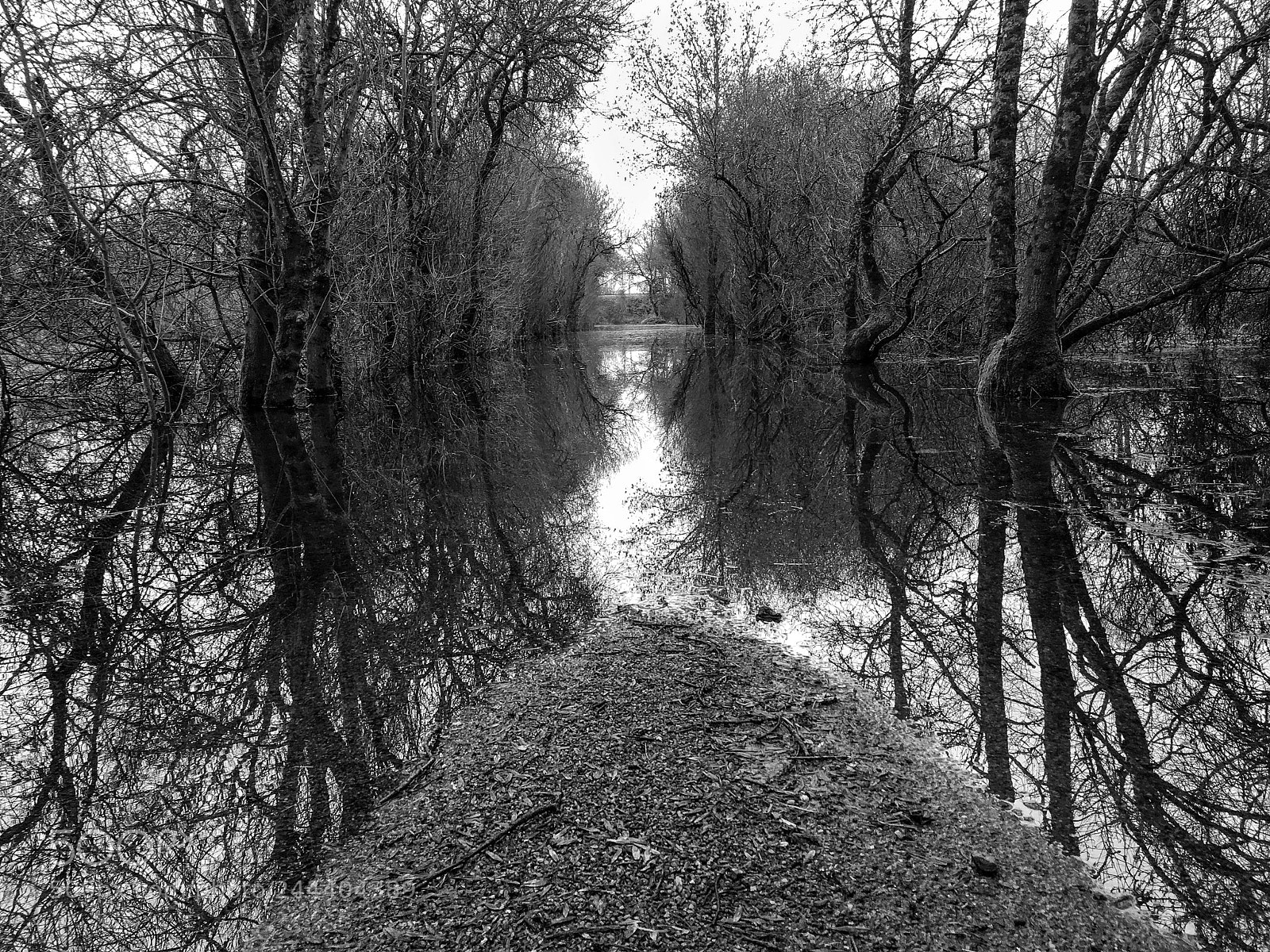 Apple iPhone 6s sample photo. La loire déborde... photography