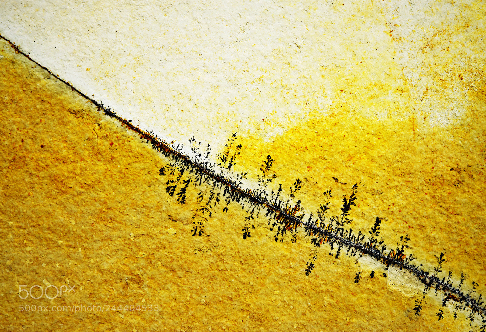 Nikon D5500 sample photo. Abstract crack line on photography
