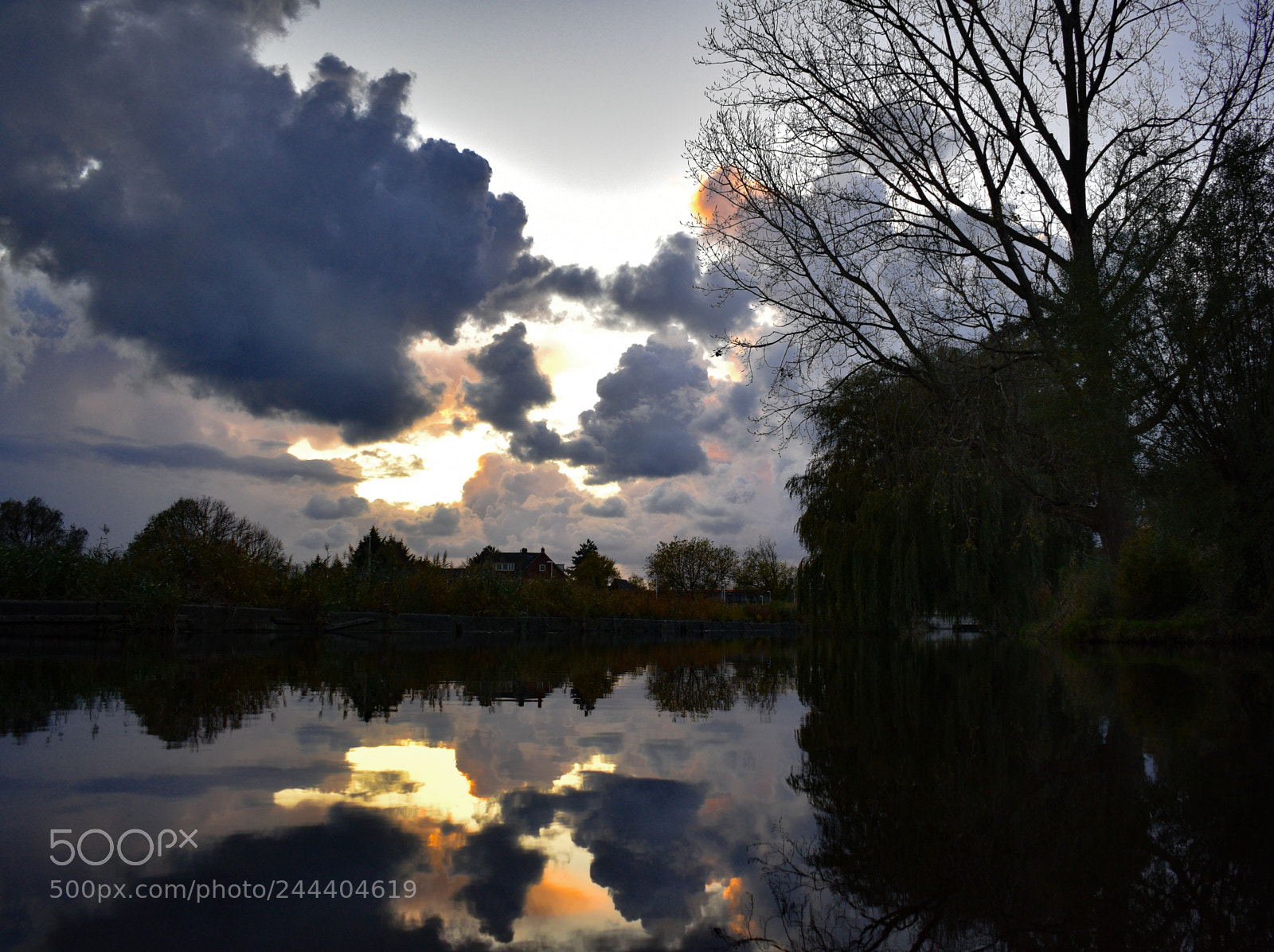Nikon D5600 sample photo. Mkk photography