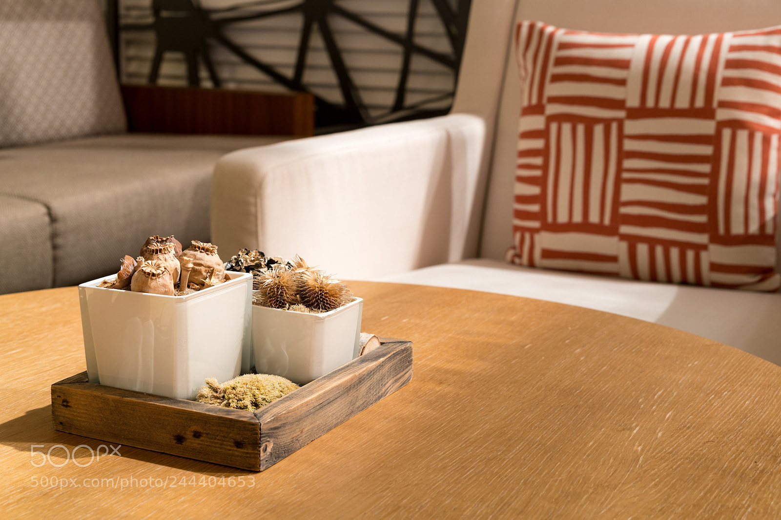 Sony a7R II sample photo. Arrangement of dried plants photography